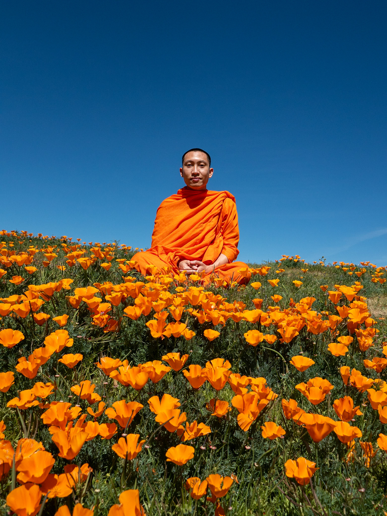 Monk in the Poppies