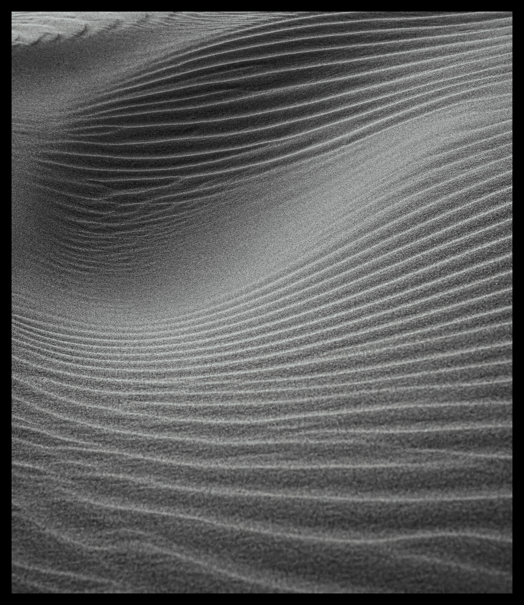 Sands of the Sahara