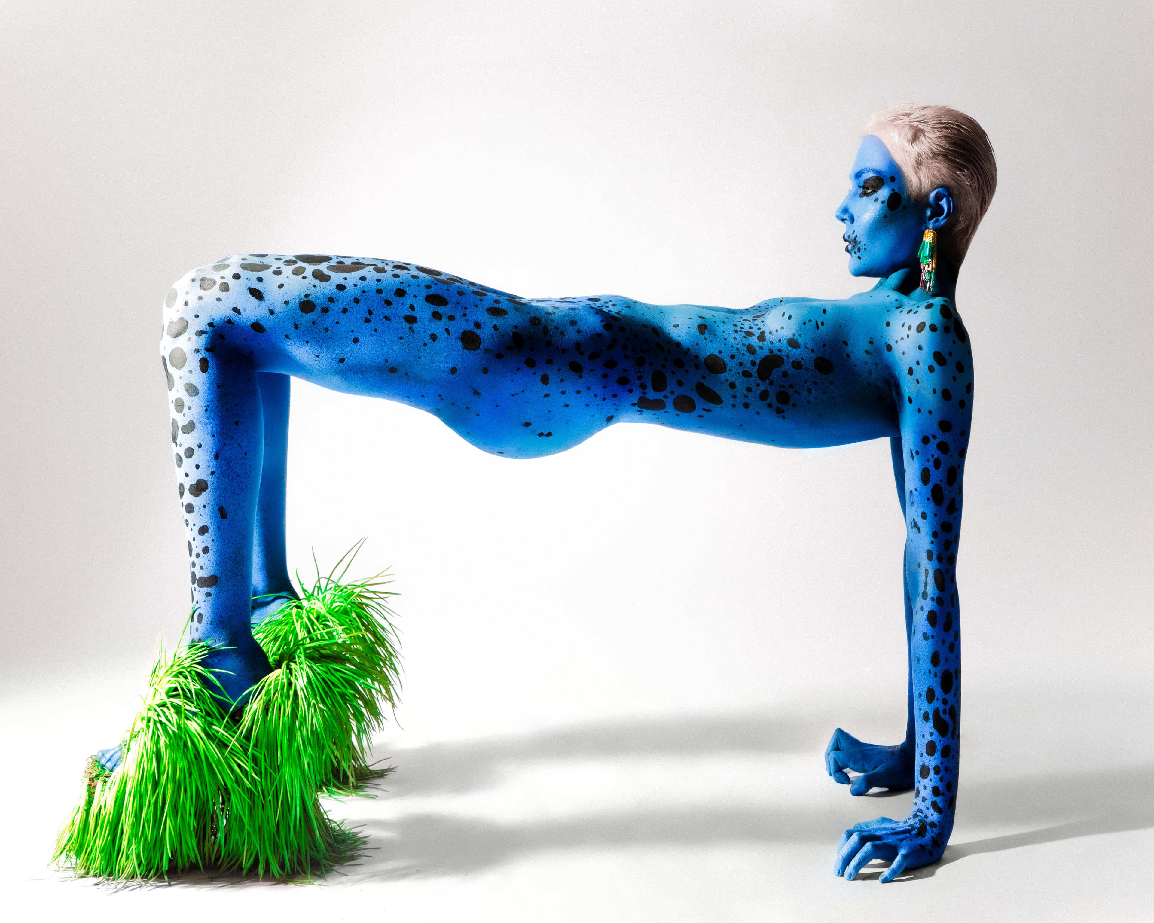 GRASS PLATFORMS BY RODERICK REYES