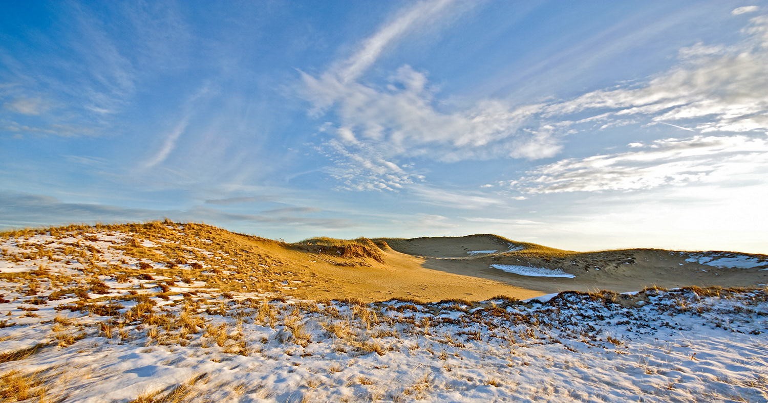 Plum Island - Winter Dune