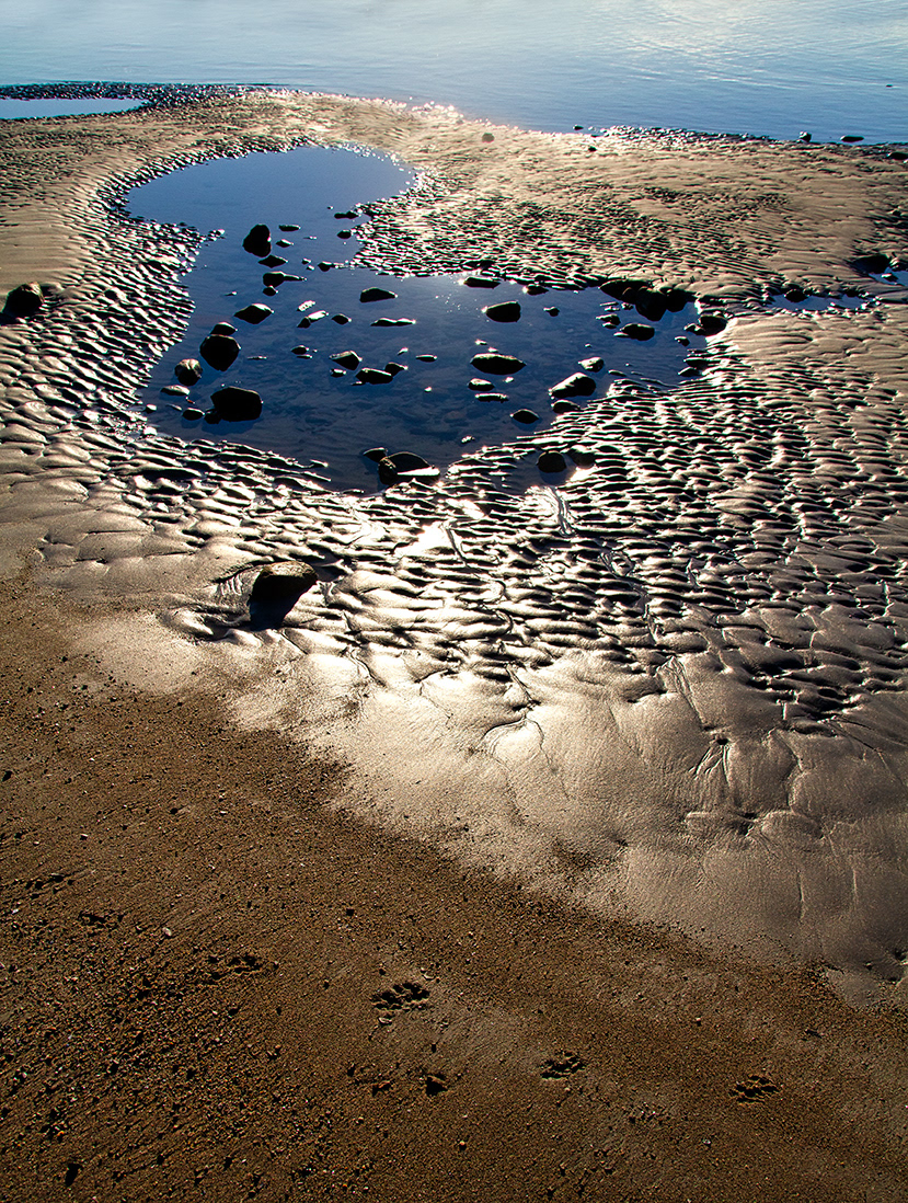 Tide Pool
