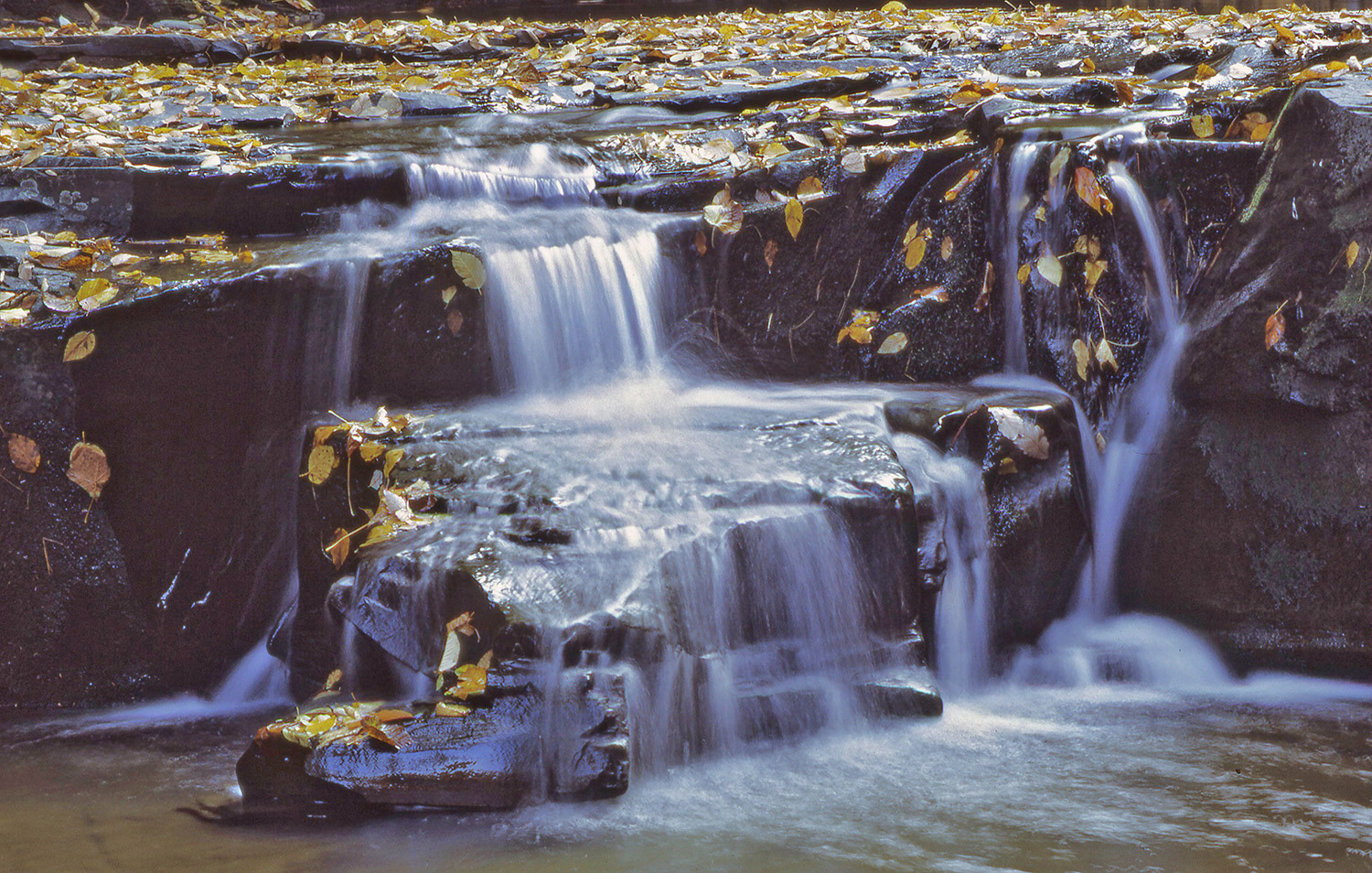Micro Falls