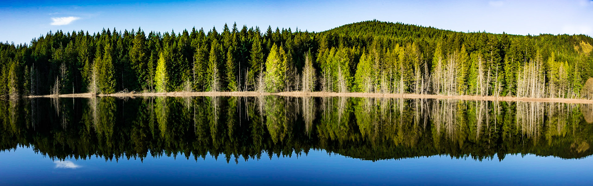Trout Lake , Sunshine Coast