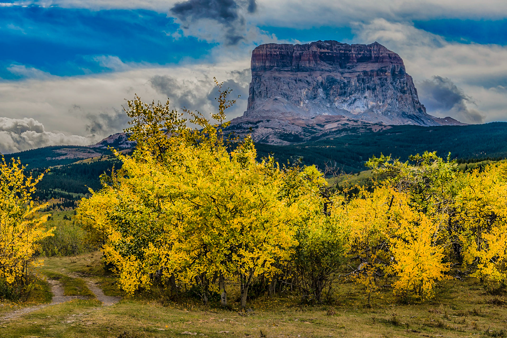 Chief Mountain
