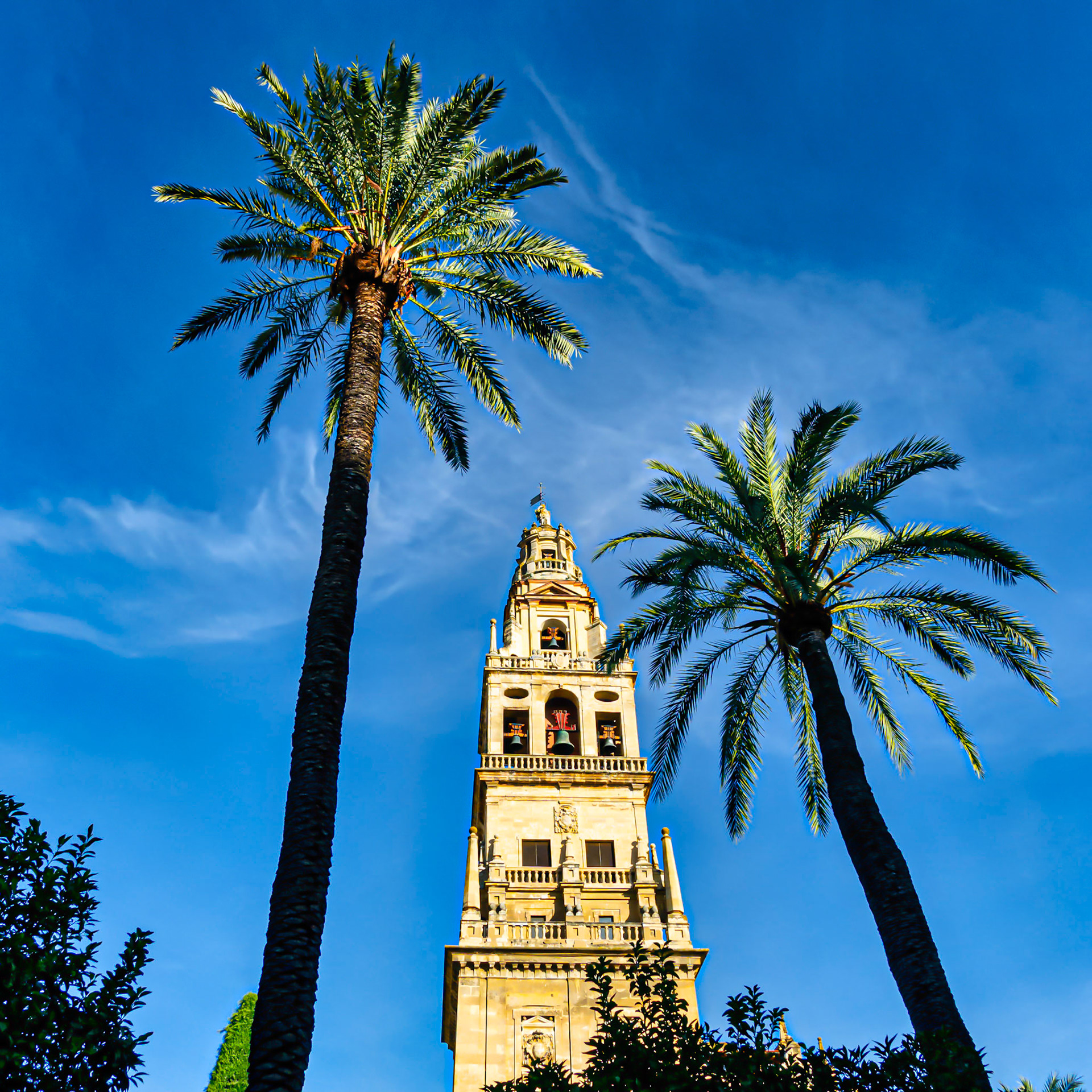 Bell Tower - Cordoba