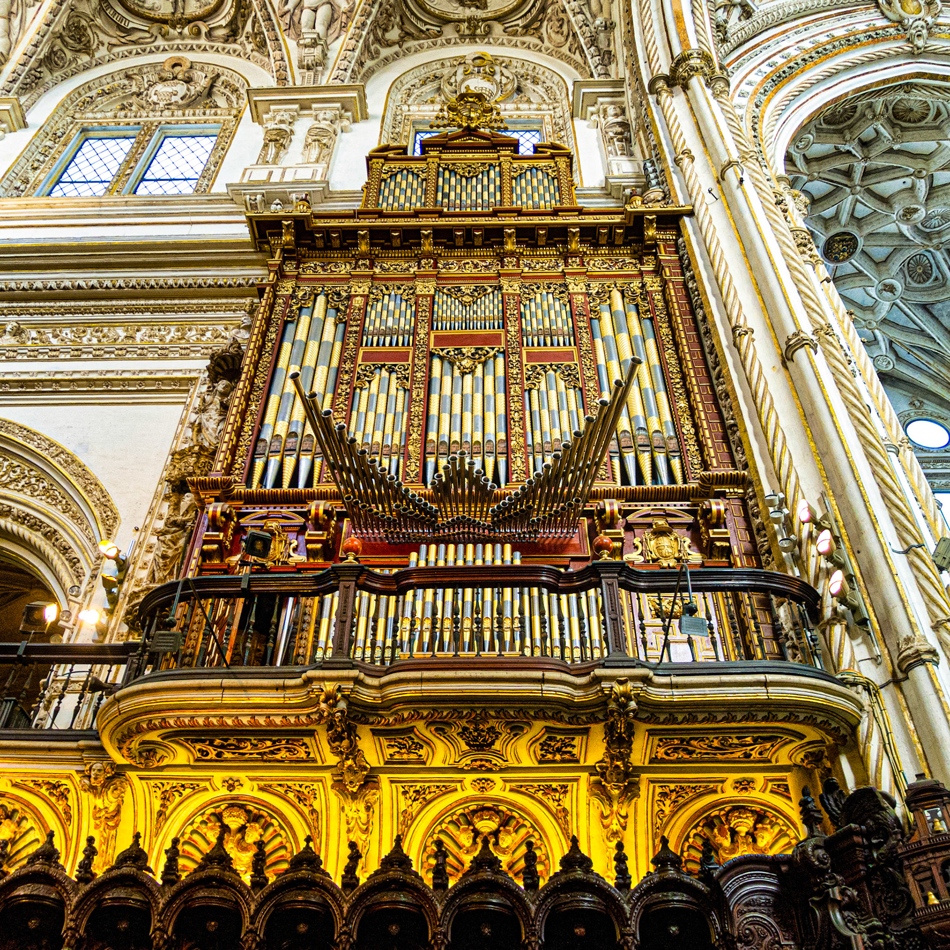 Organ in the Cathedral