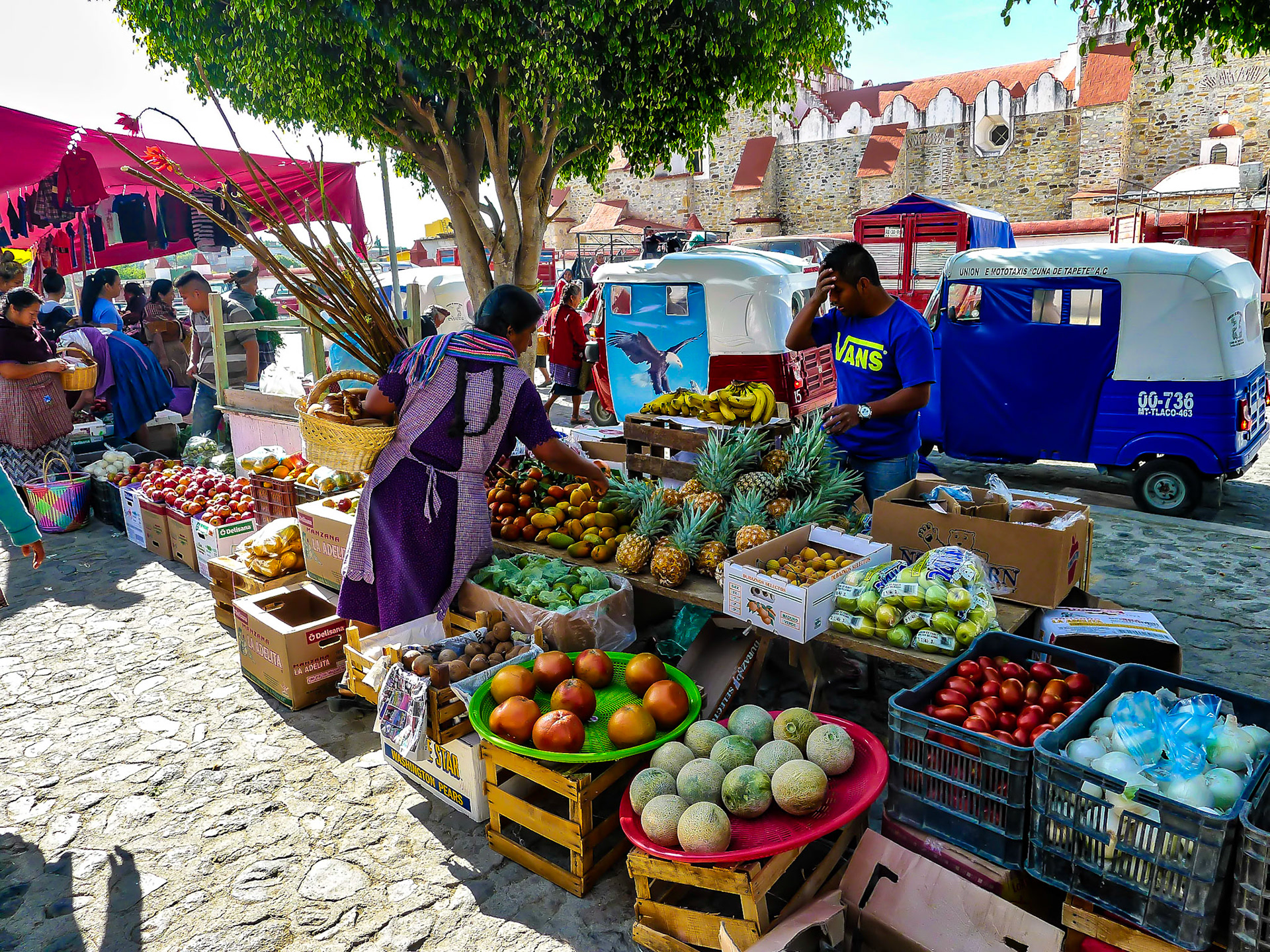 So much fresh food