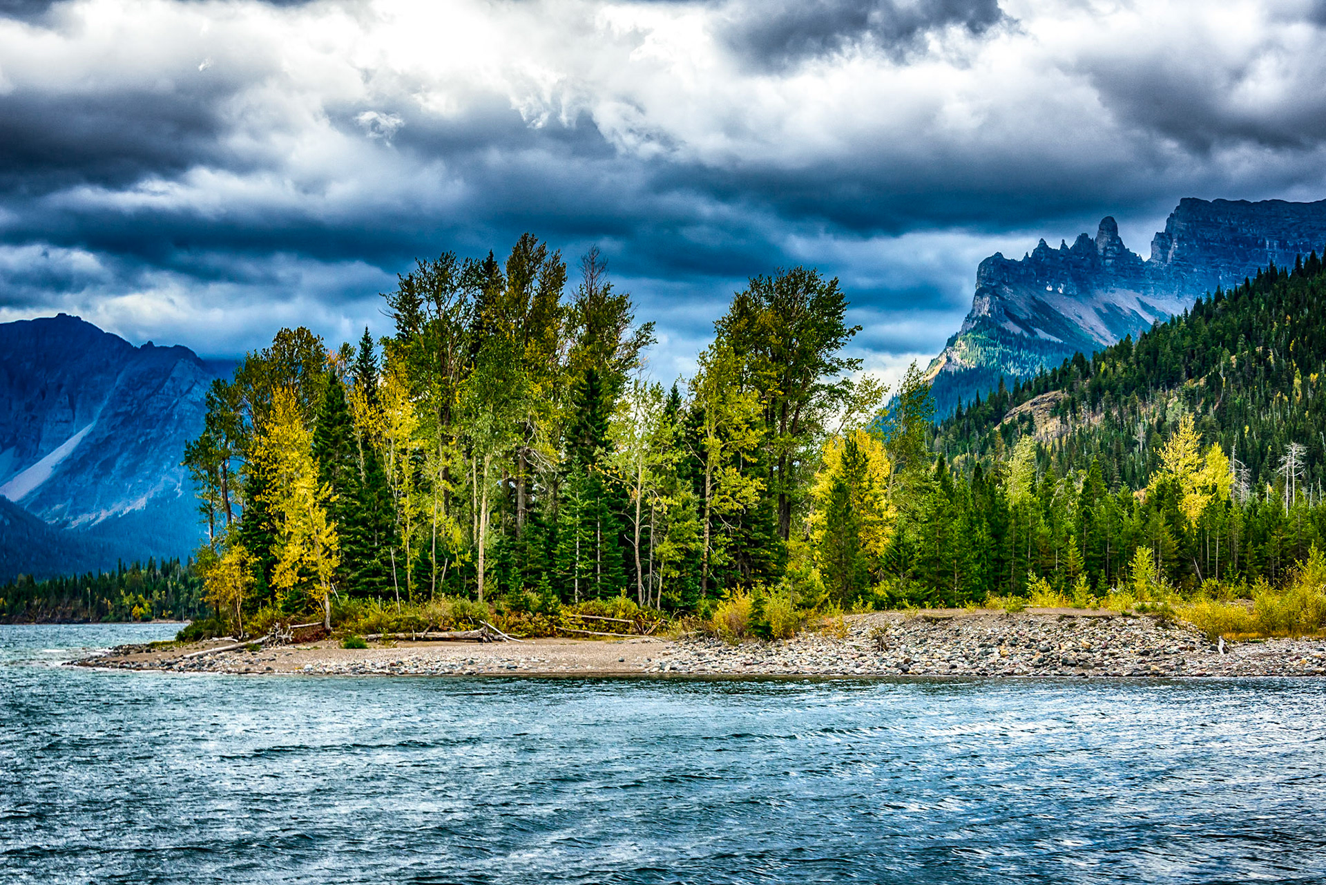 Black Cottonwoods and Citadel Spires