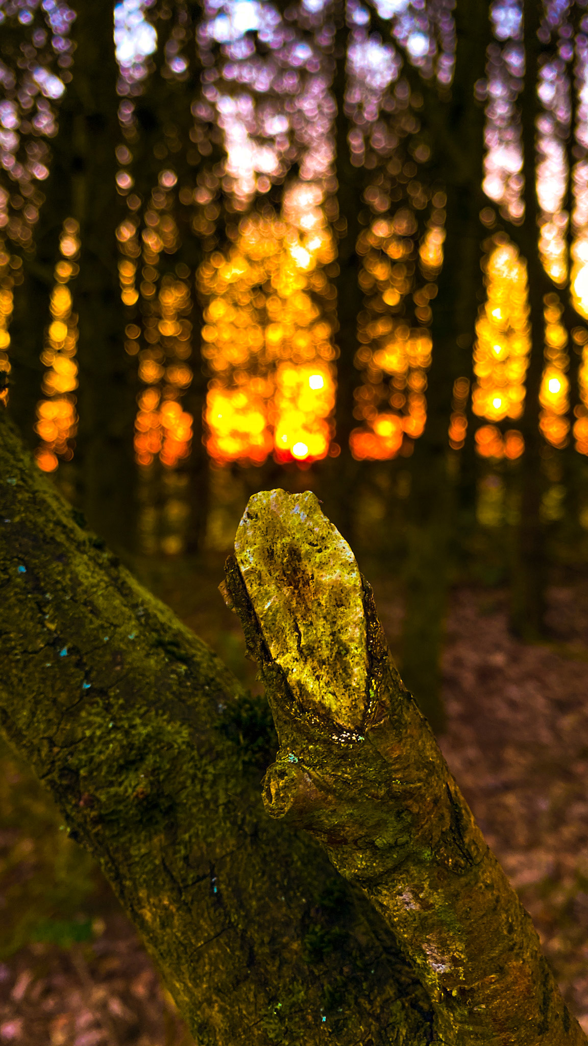 Stumped.