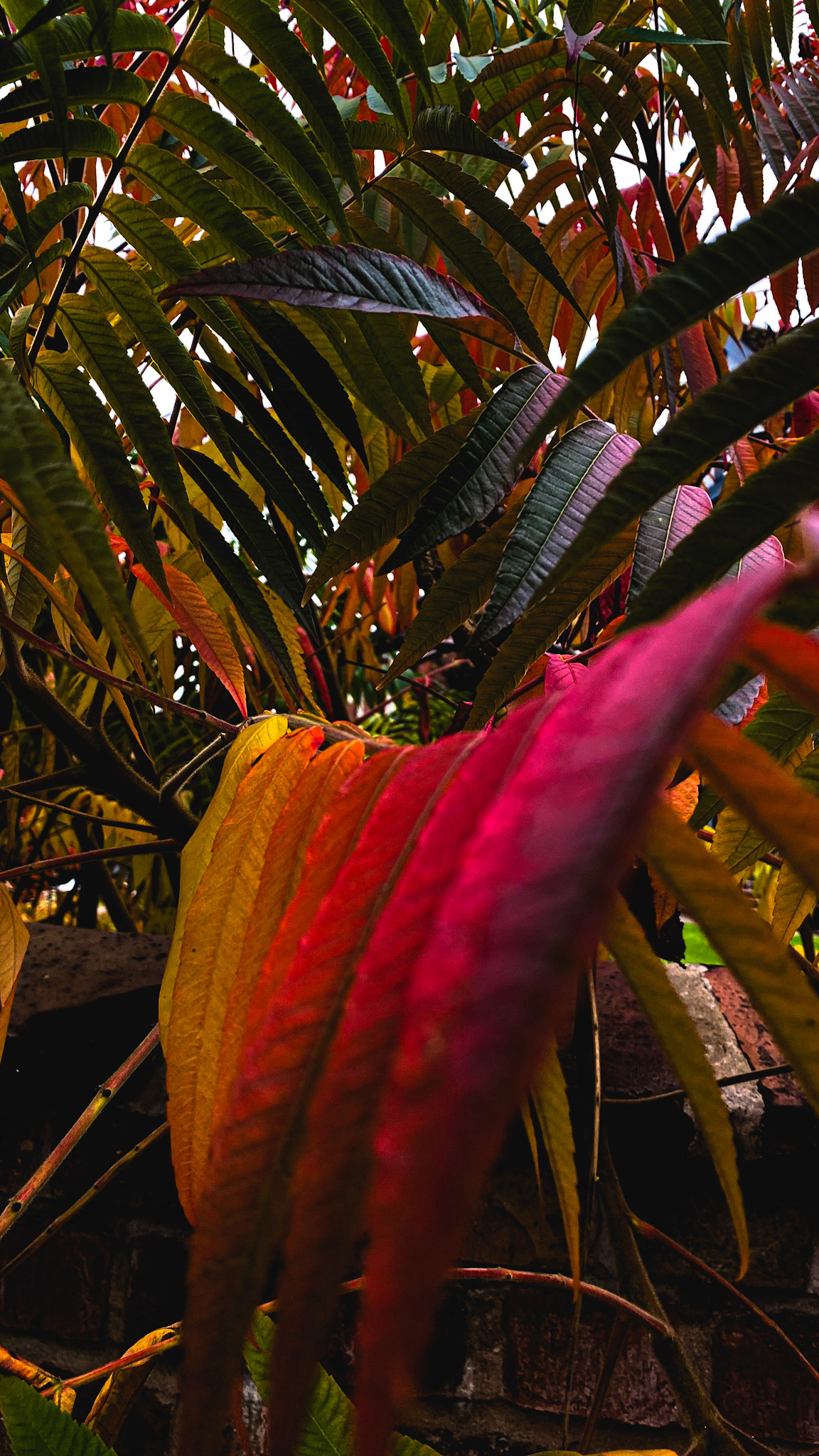 Colours we can't see.