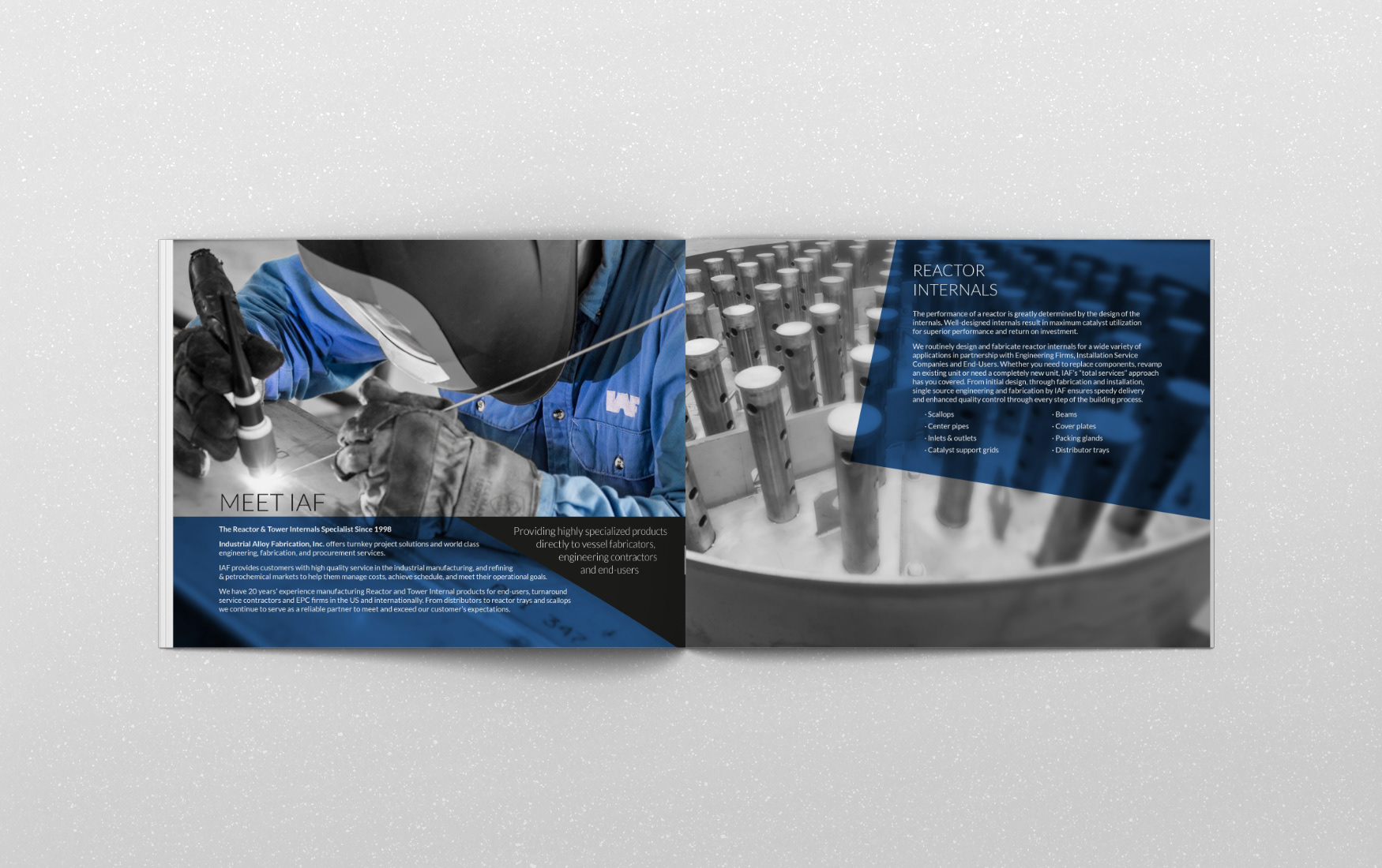 IAF Brochure two page spread about the company and reactors.