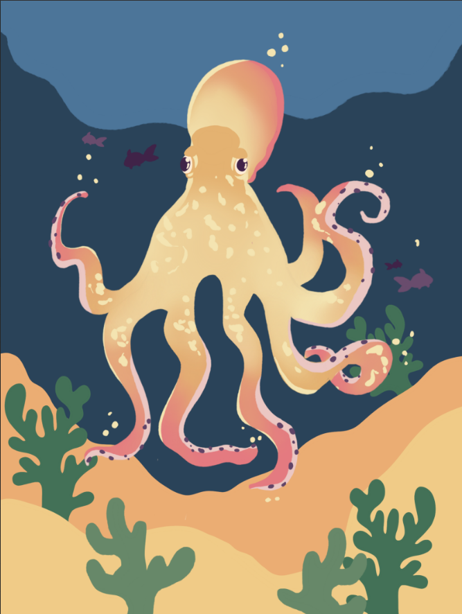 Octopus