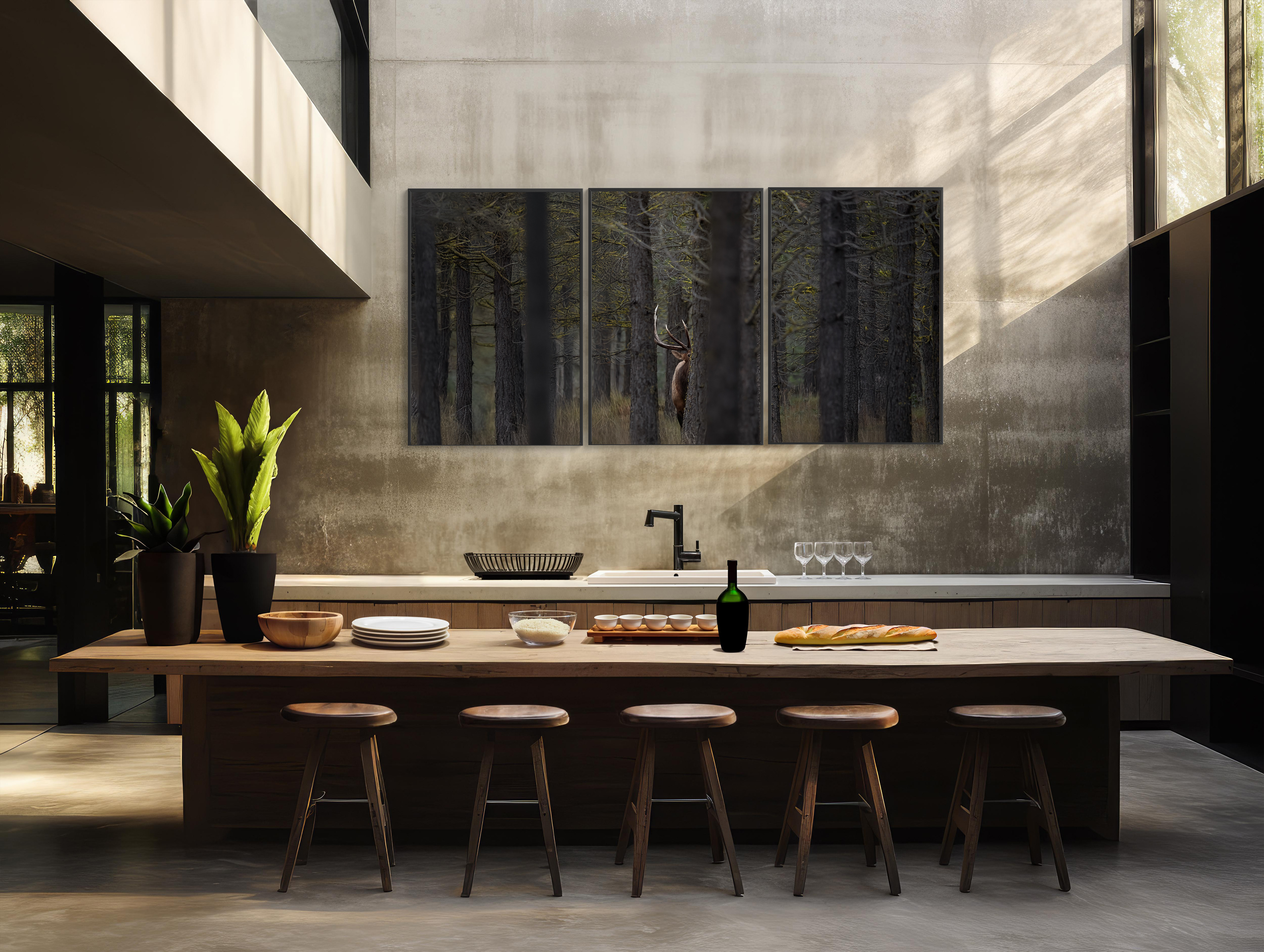 Peek a Bull 3 panel & custom frame on display in my gallery 82x42 $3495