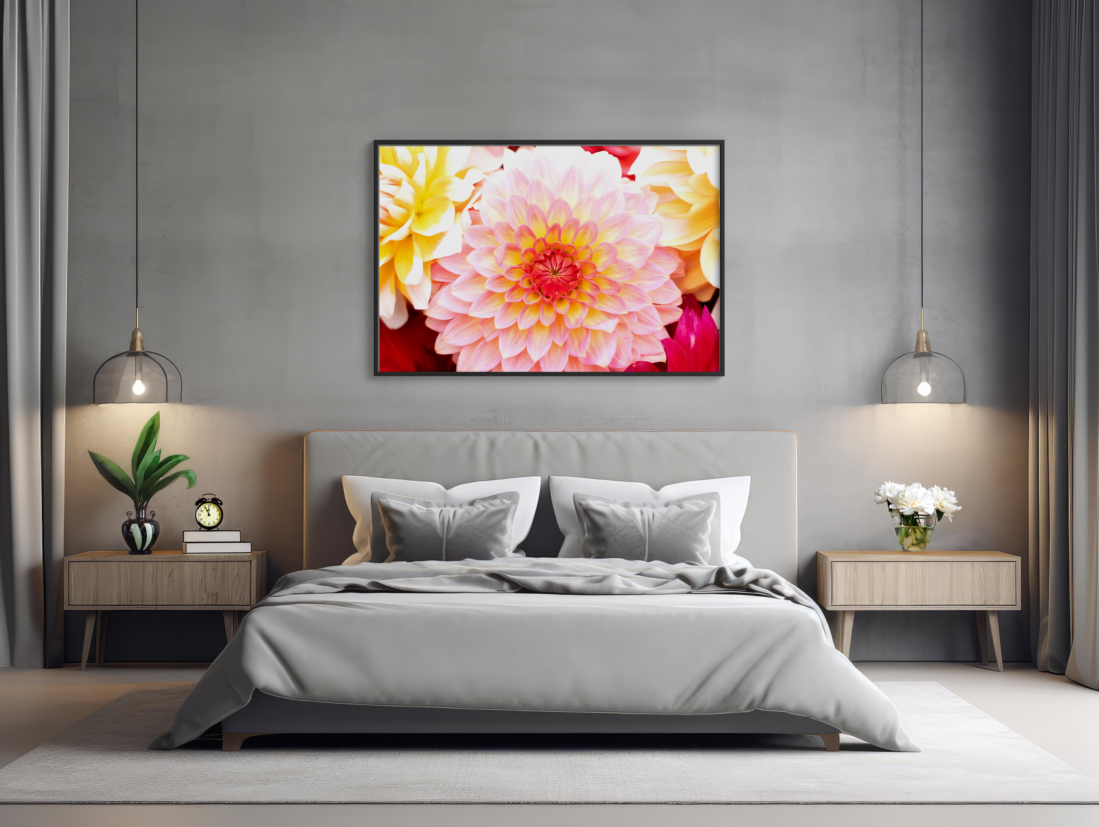 Dahlia