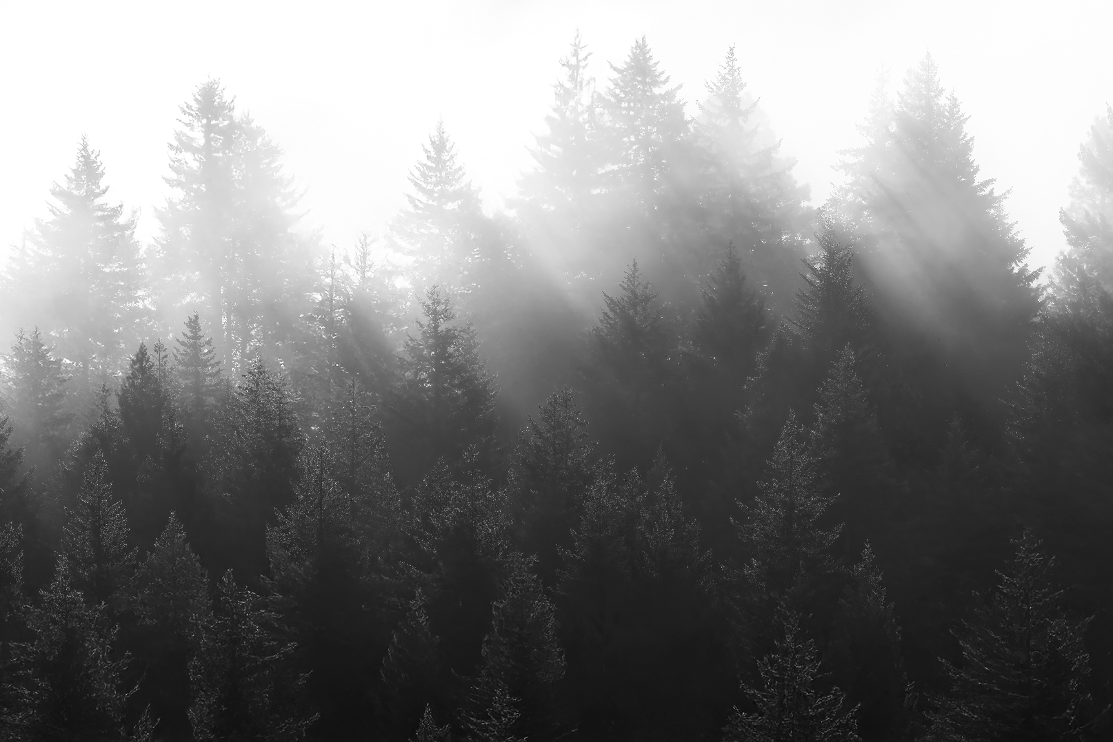 Rays on the Ridge