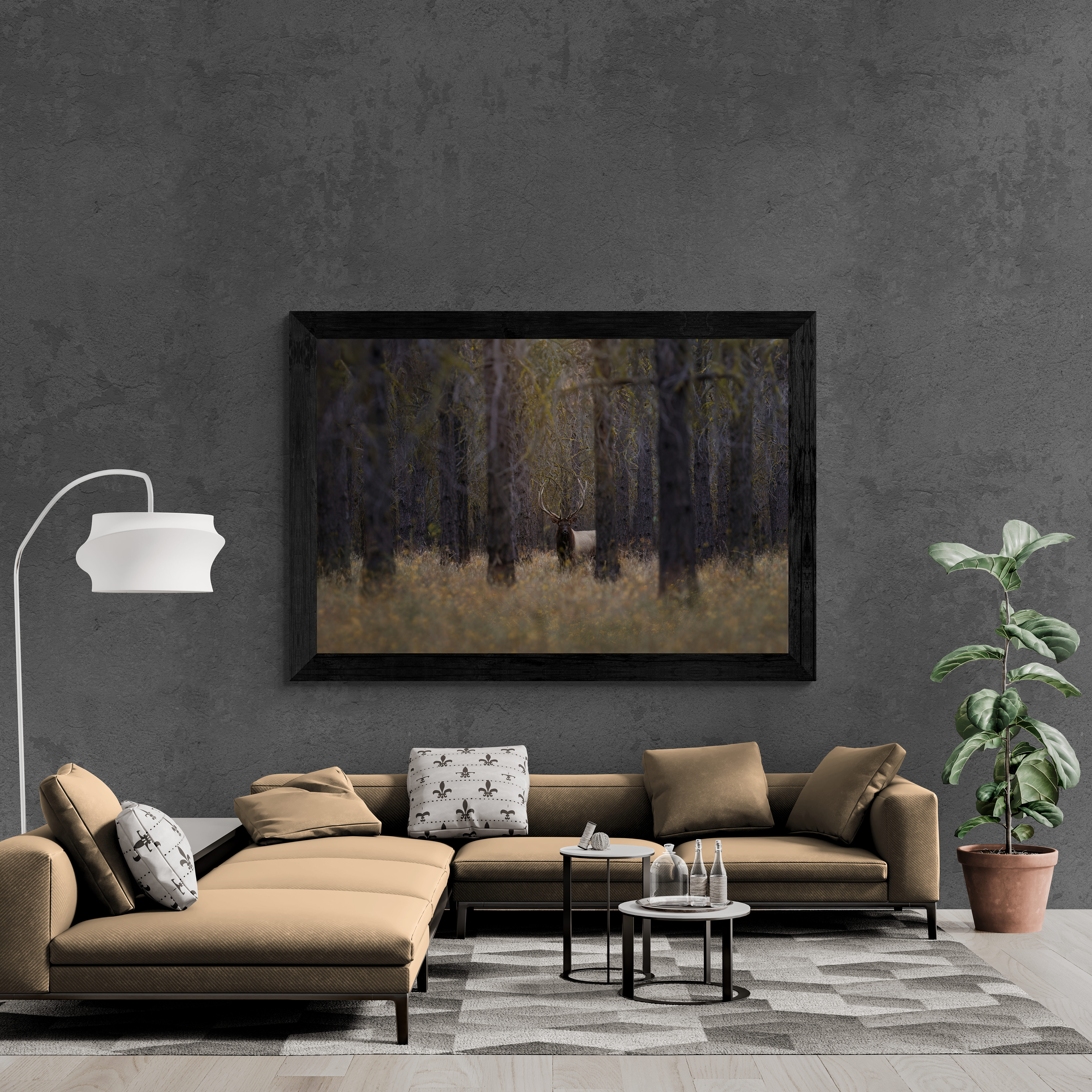 The Beautiful Forest