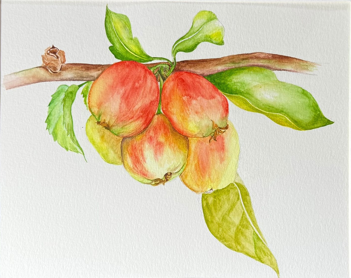 Watercolor on paper - Size 9 x 12