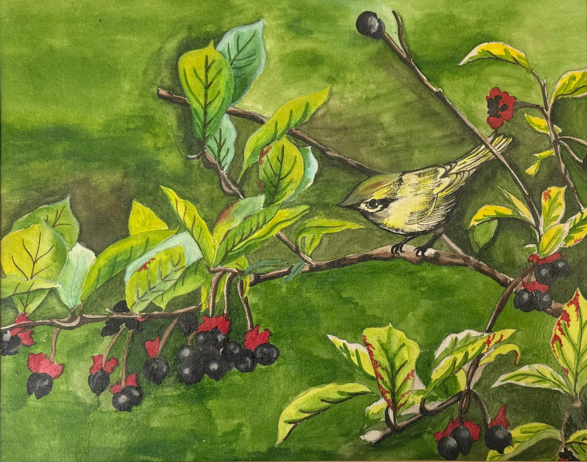 Watercolor on paper - Size 11 x 14