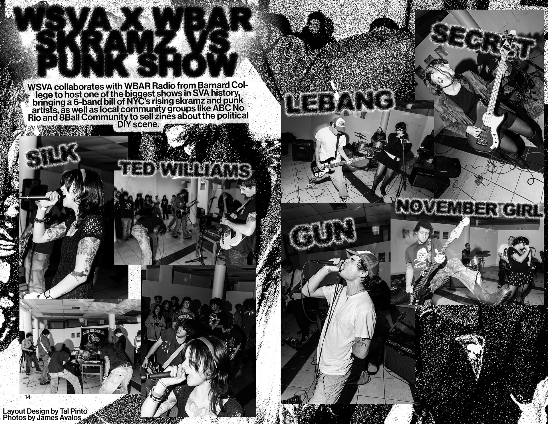 Page Spread for WSVA Zine (2025)