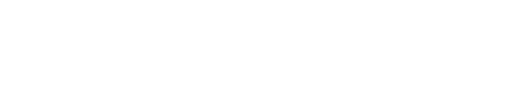 Rollo van Wijk
