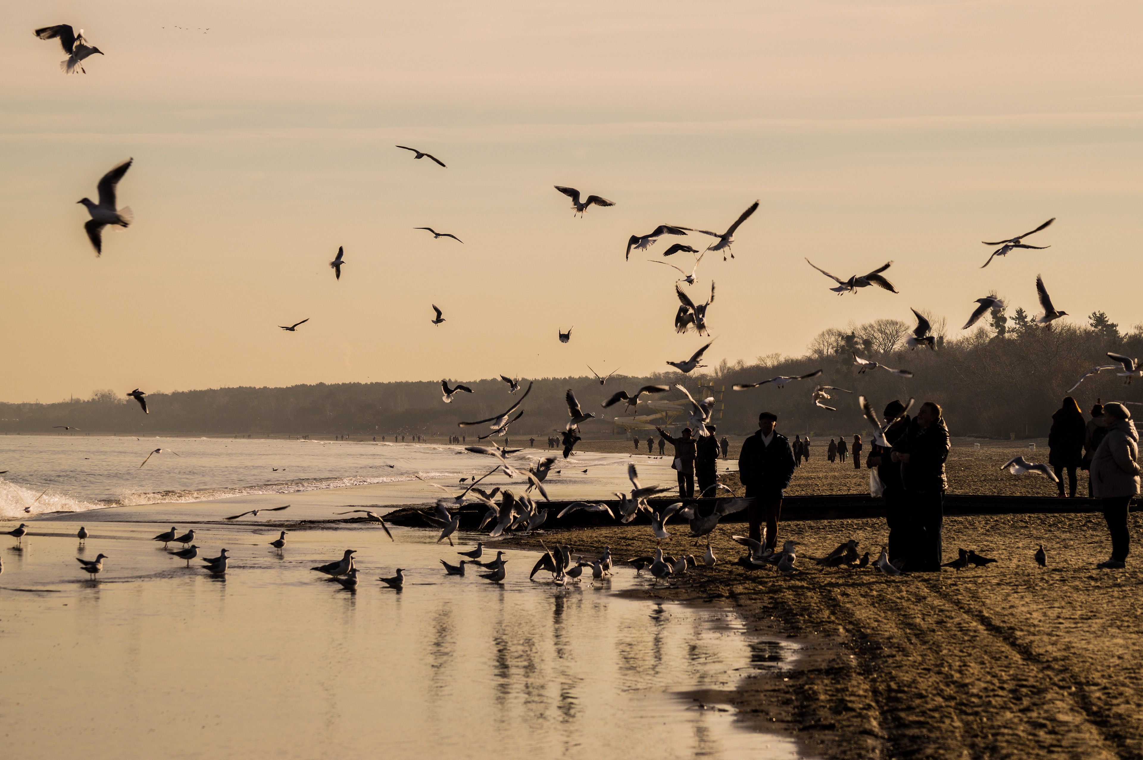 Poland Beach by Pablo Saccinto