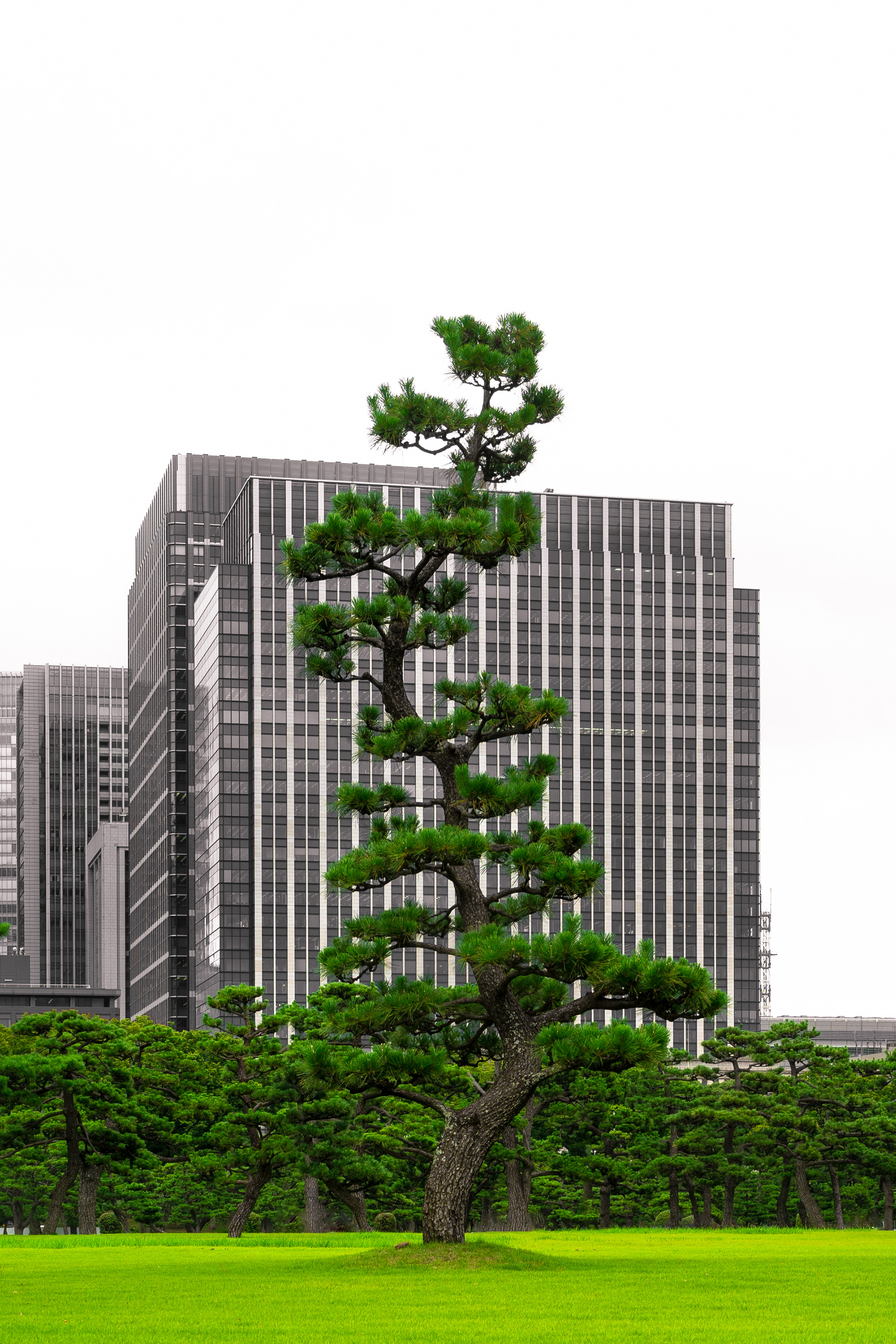 Tokyo, Japan by Pablo Saccinto