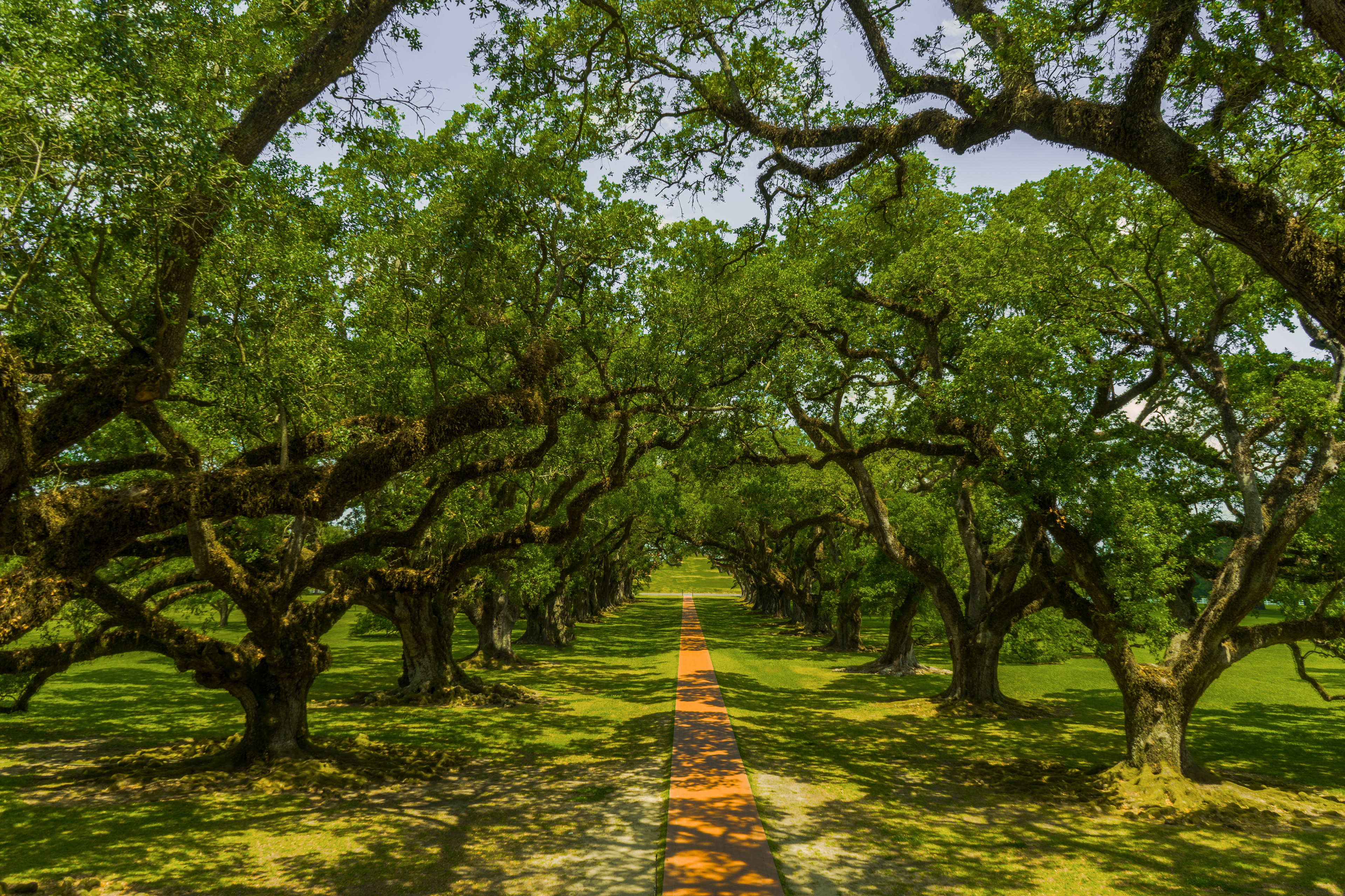 New Orleans by Pablo Saccinto
