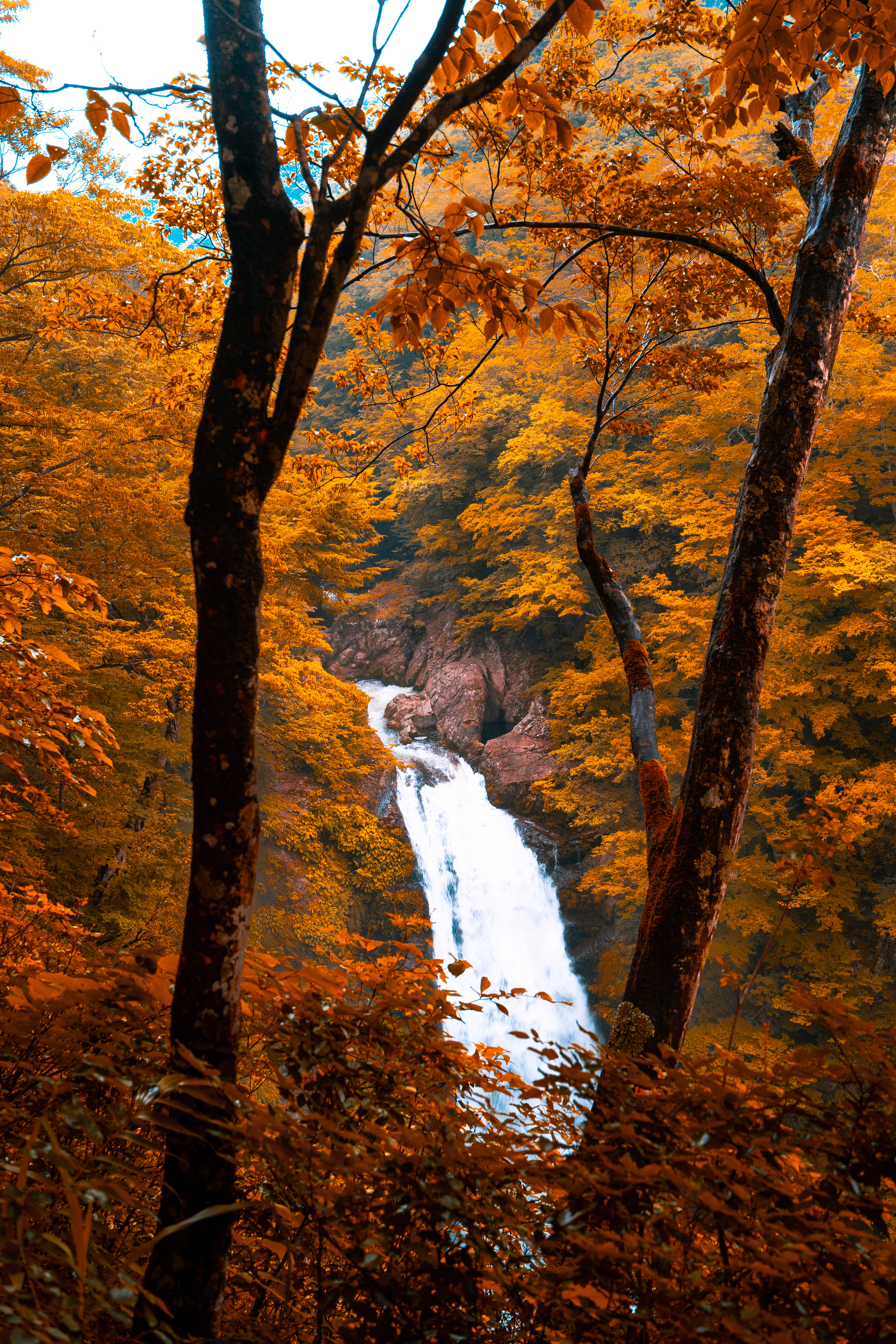 Sendai Water Fall by Pablo Saccinto