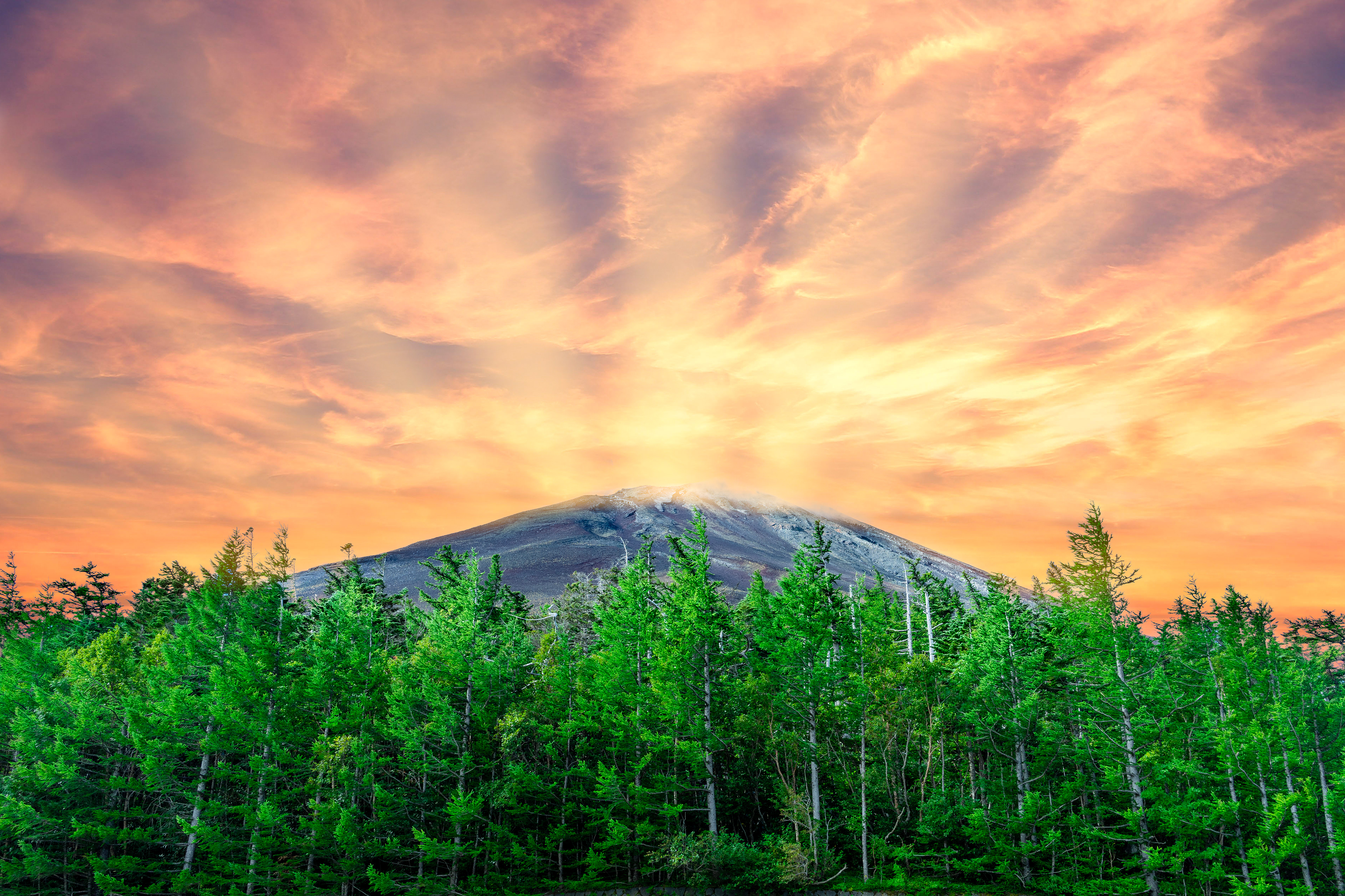 Mt Fuji, Japan by Pablo Saccinto
