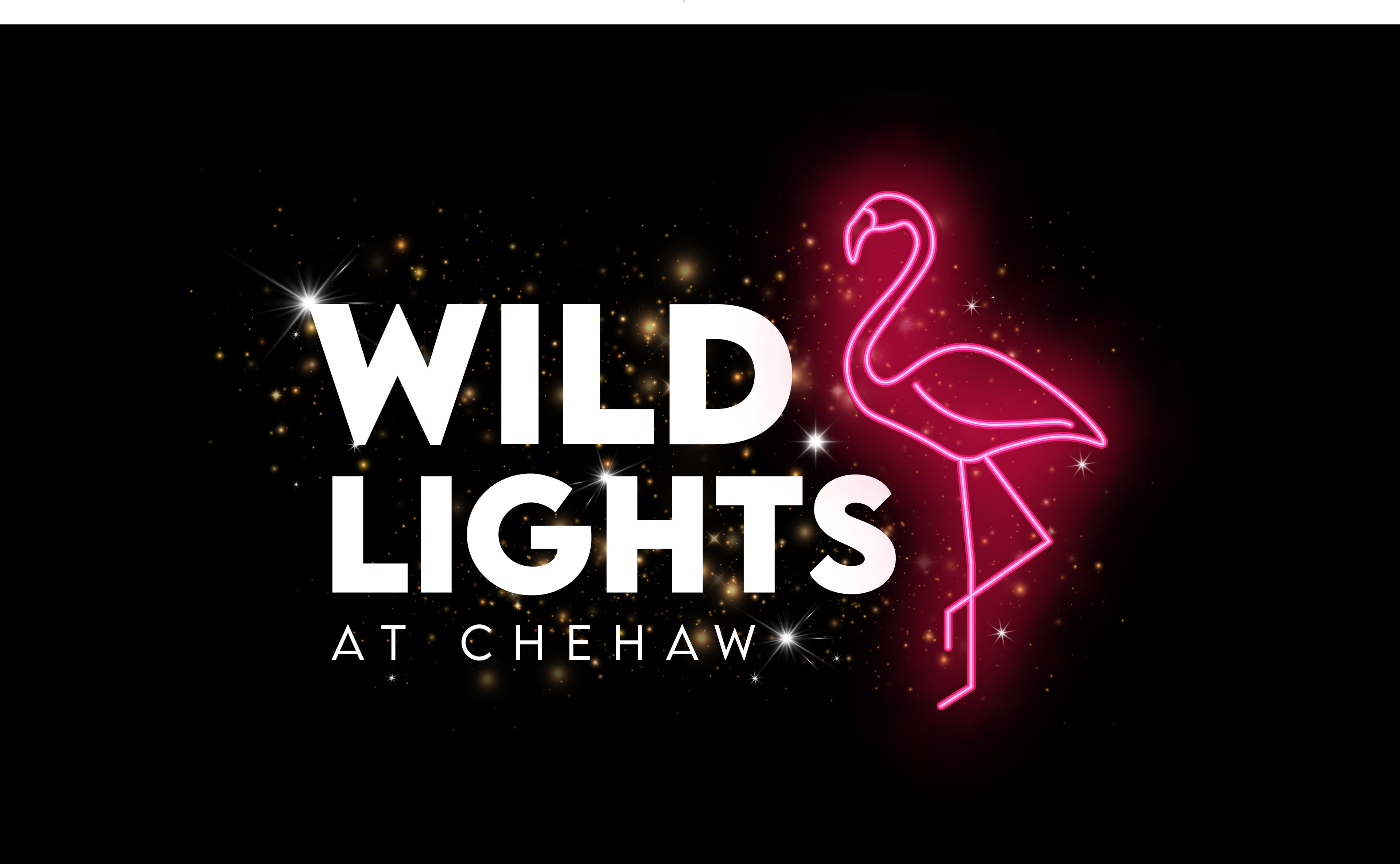 Chehaw State Park Christmas Lights 3