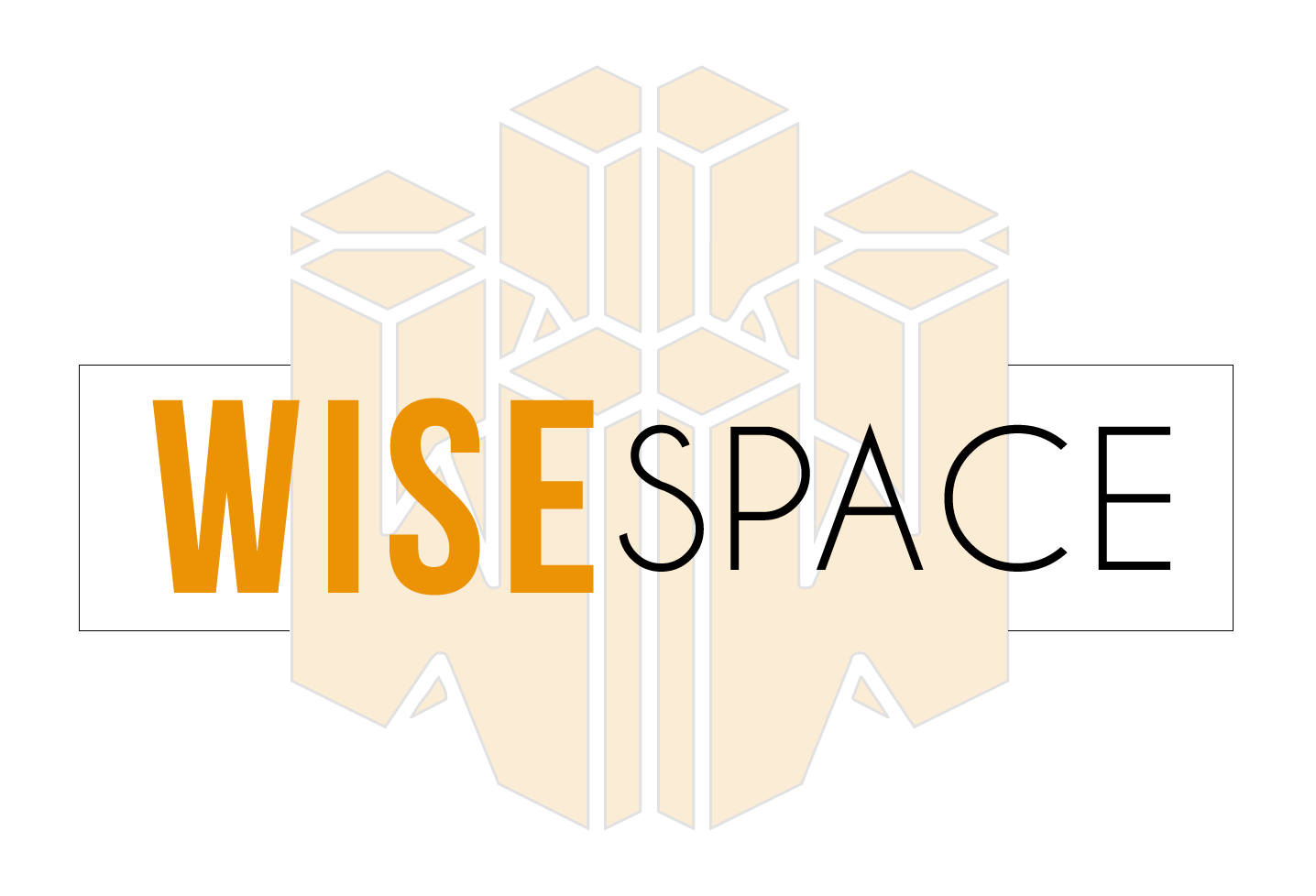 Wise Space