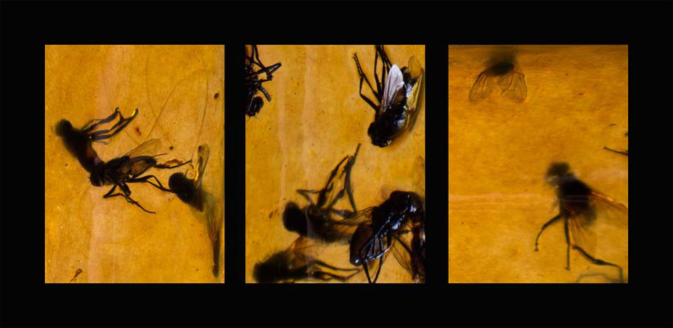 Life After Death