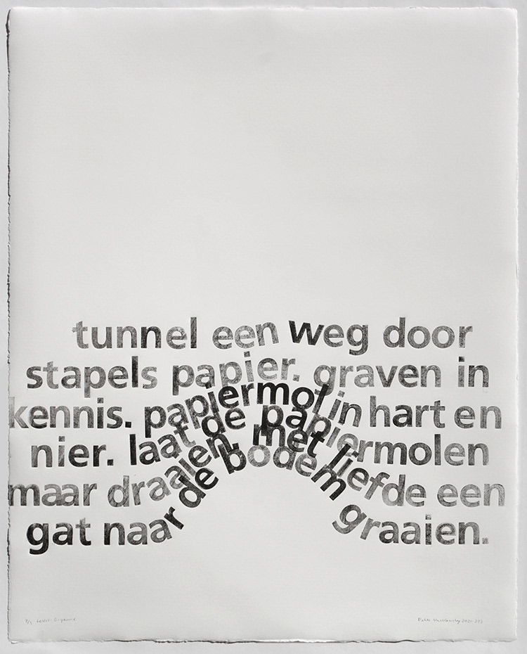Tunnel een weg, 2021-233, 2-kleuren 3D-prentplaat, 65 x 50 cm