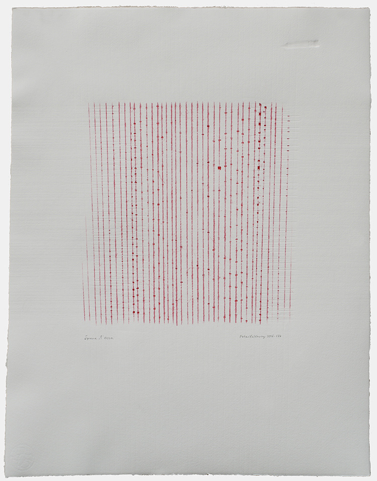 53124, 2016-177, , draaddruk, 65 x 50 cm