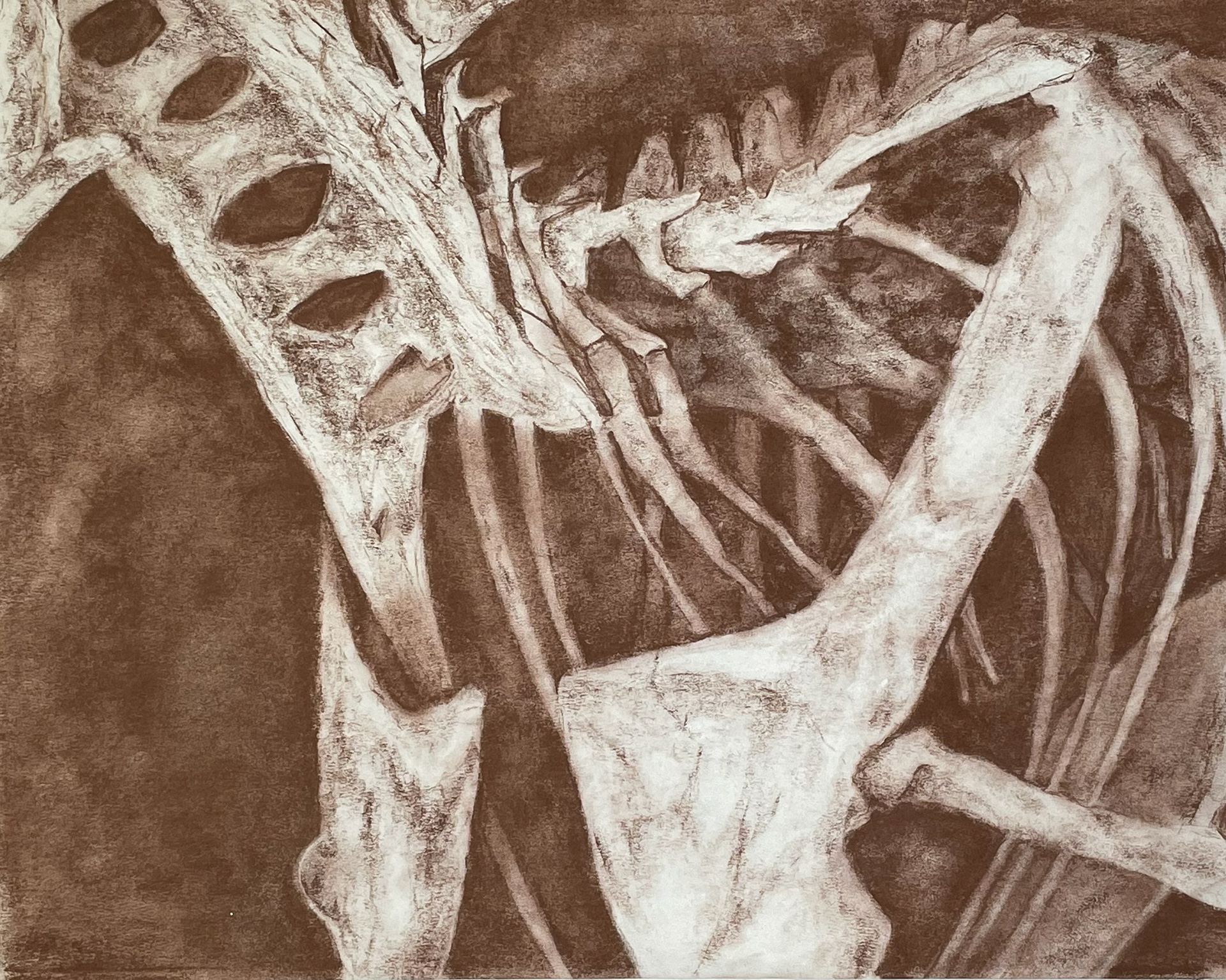 T-Rex Spatial Study - Conte Crayon on Newsprint