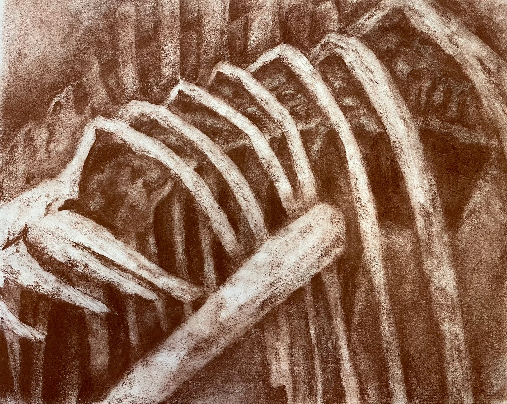 Dinosaur Skeleton Spatial Study - Conte Crayon on Newsprint