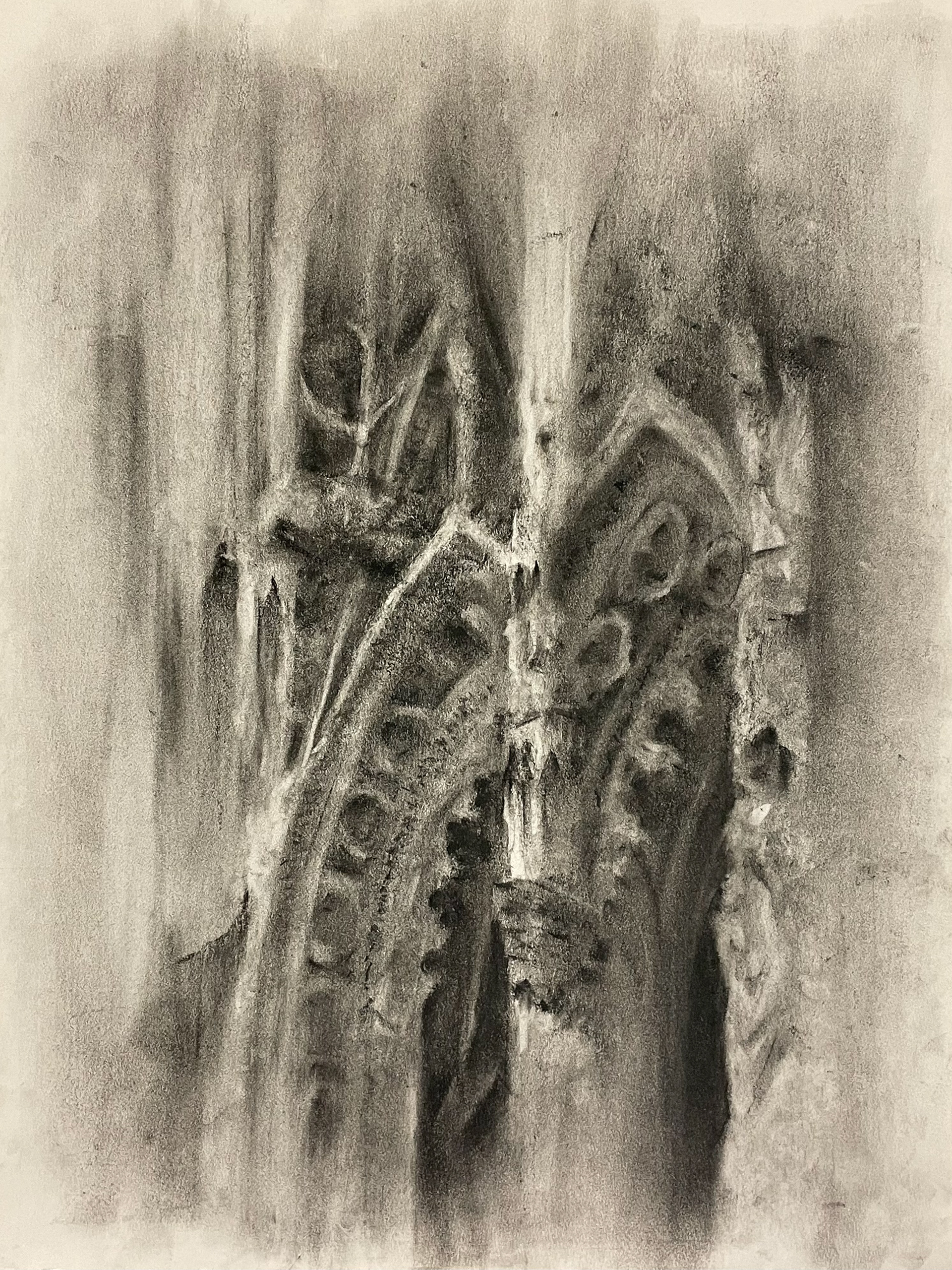 Portals - Charcoal on Newsprint
