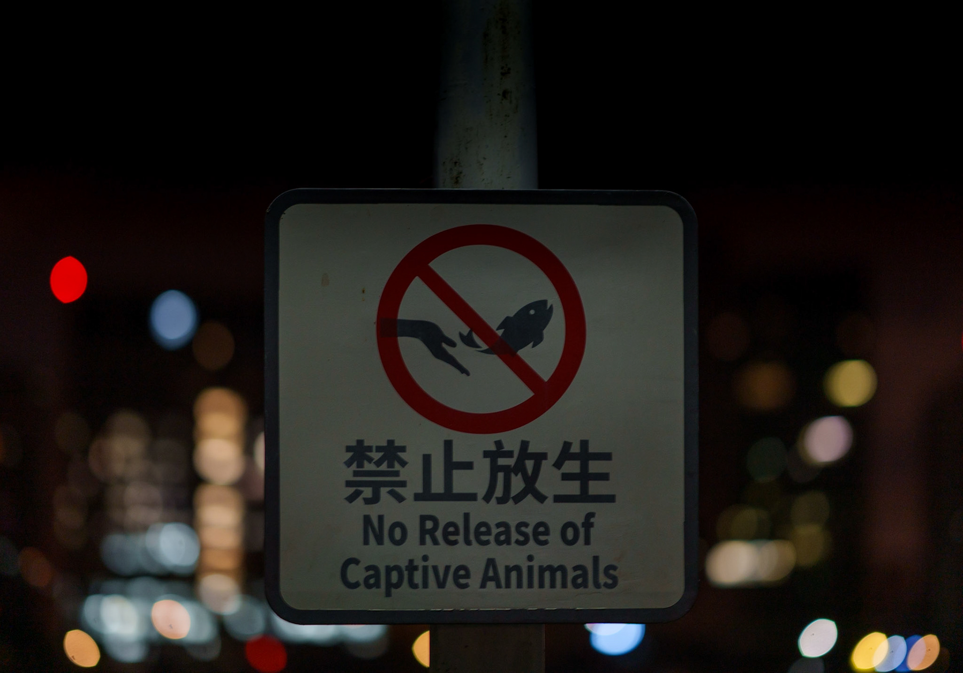 No Release of Captive Animals