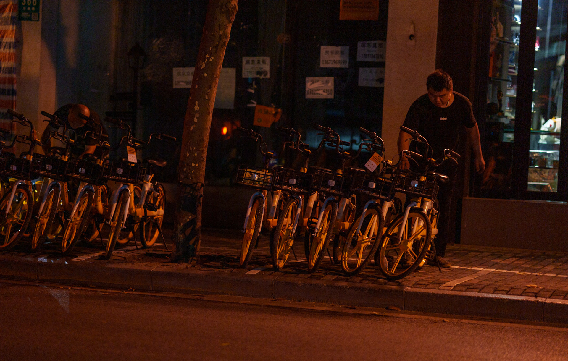 Bike Organizer