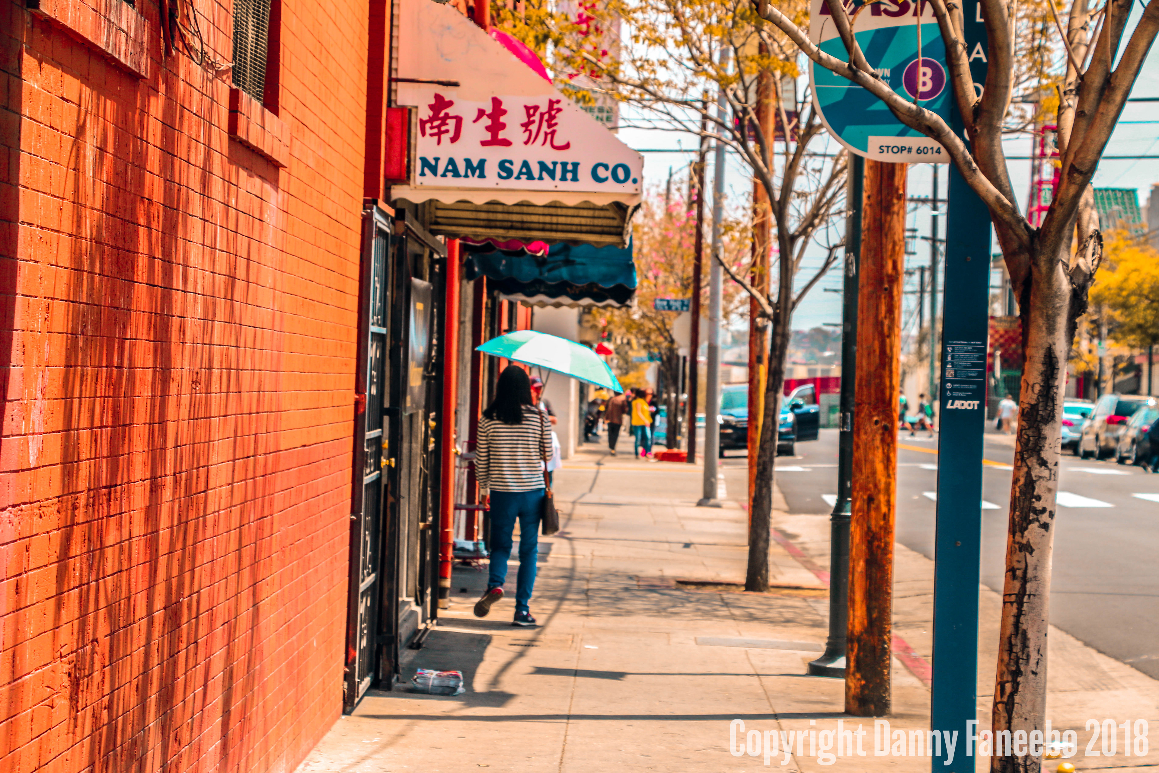 Lady & Umbrella - Chinatown, LA - 2018