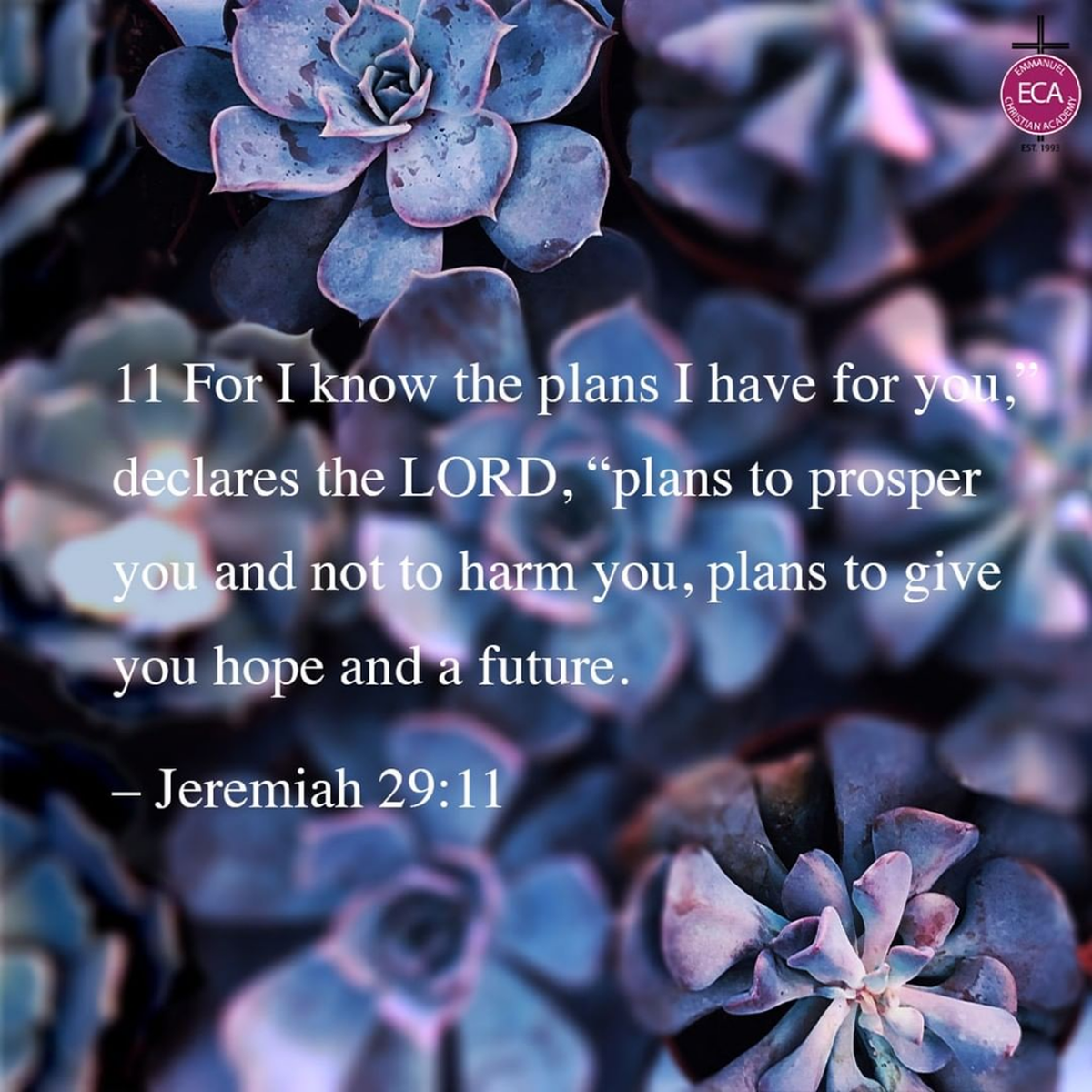 Facebook/Instagram Graphic
