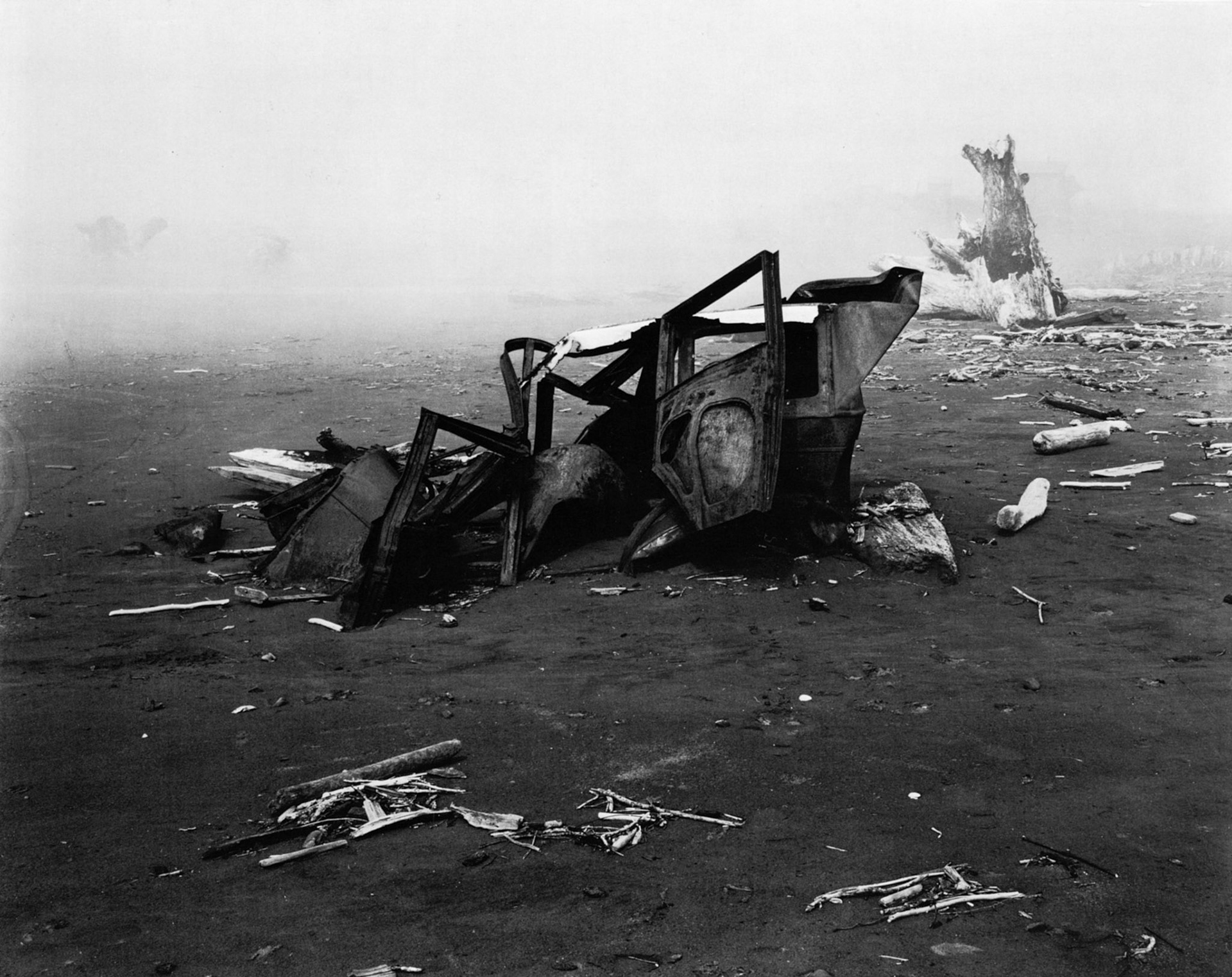 Photograph by Edward Weston