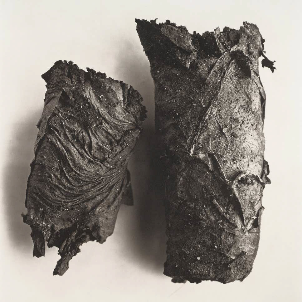 Photograph by Irving Penn