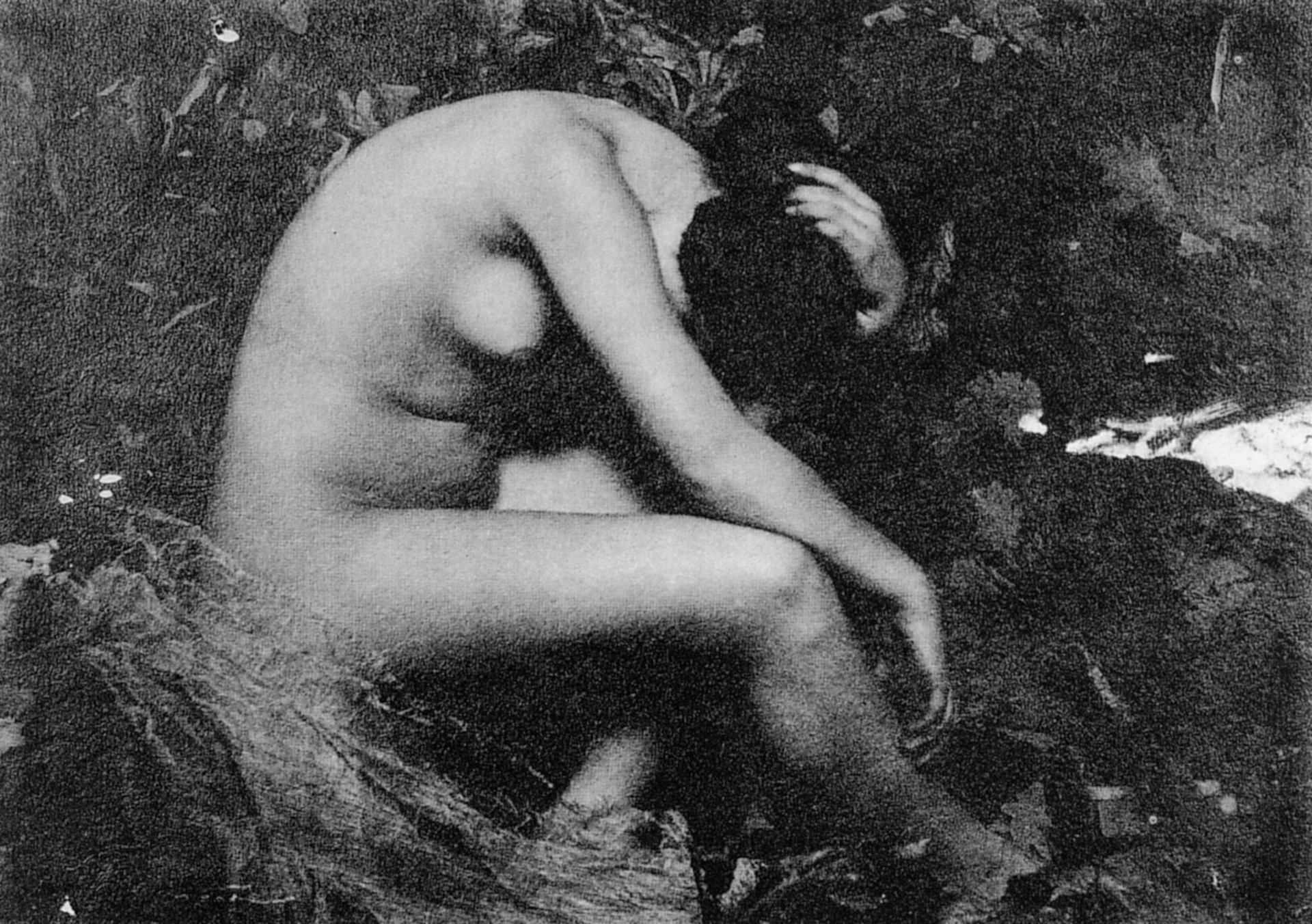 Photograph by Frank Eugene