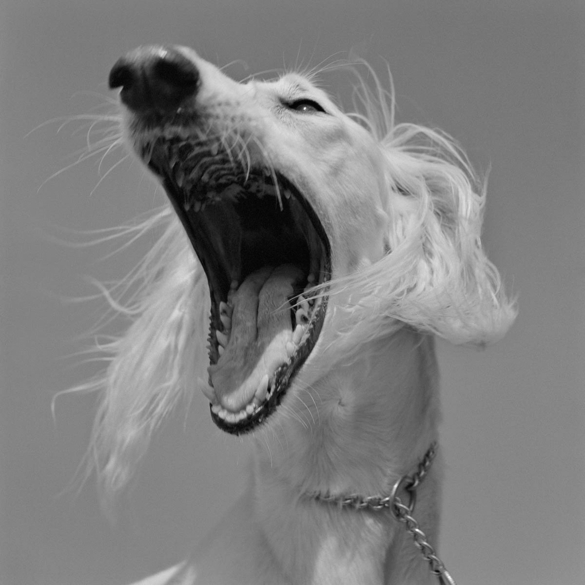 Photograph by Alberto Garcia Alix