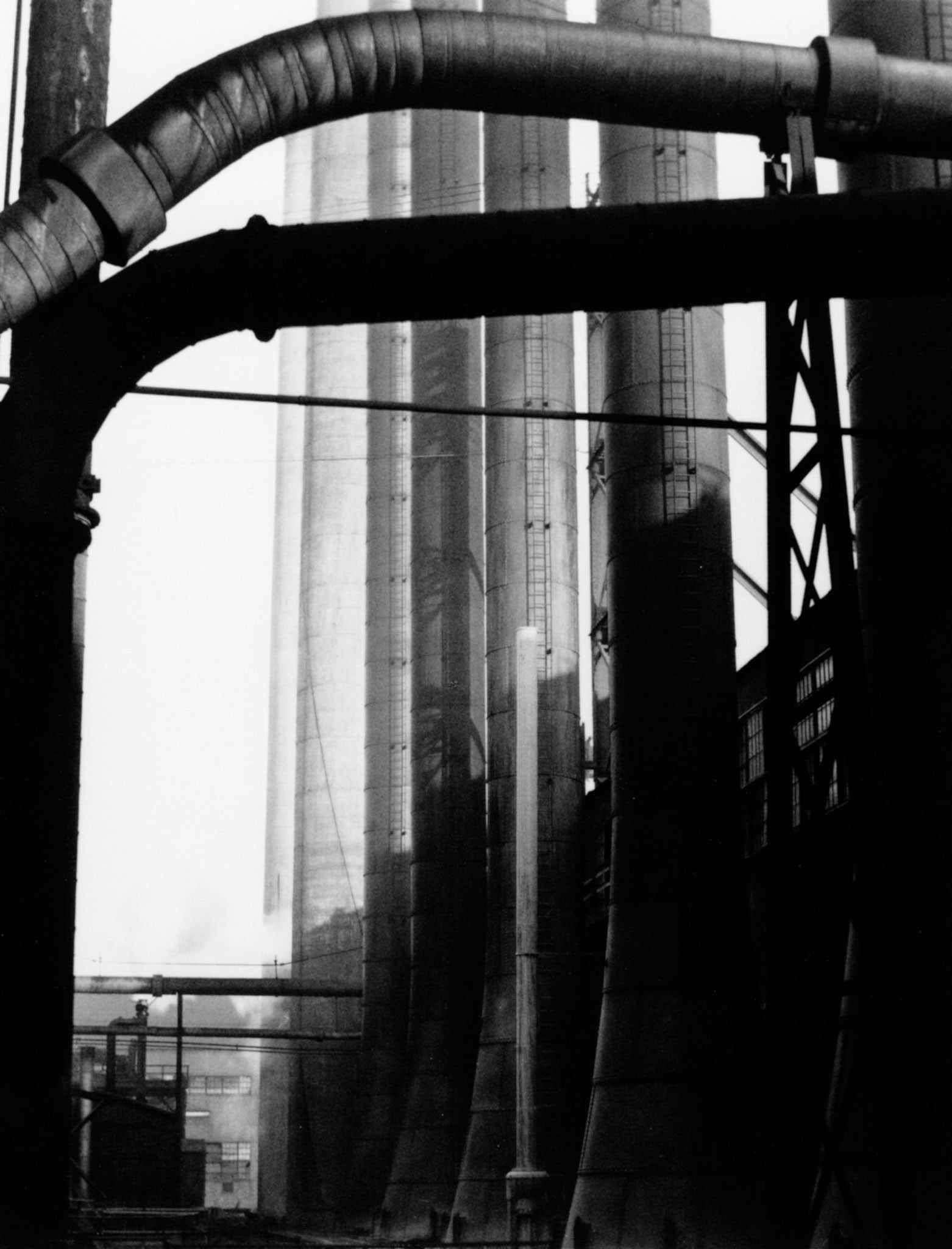 Photograph by Edward Weston