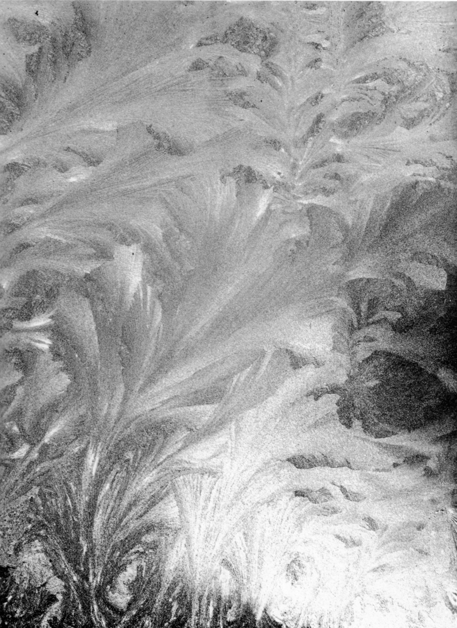 Photograph by Aenne Biermann