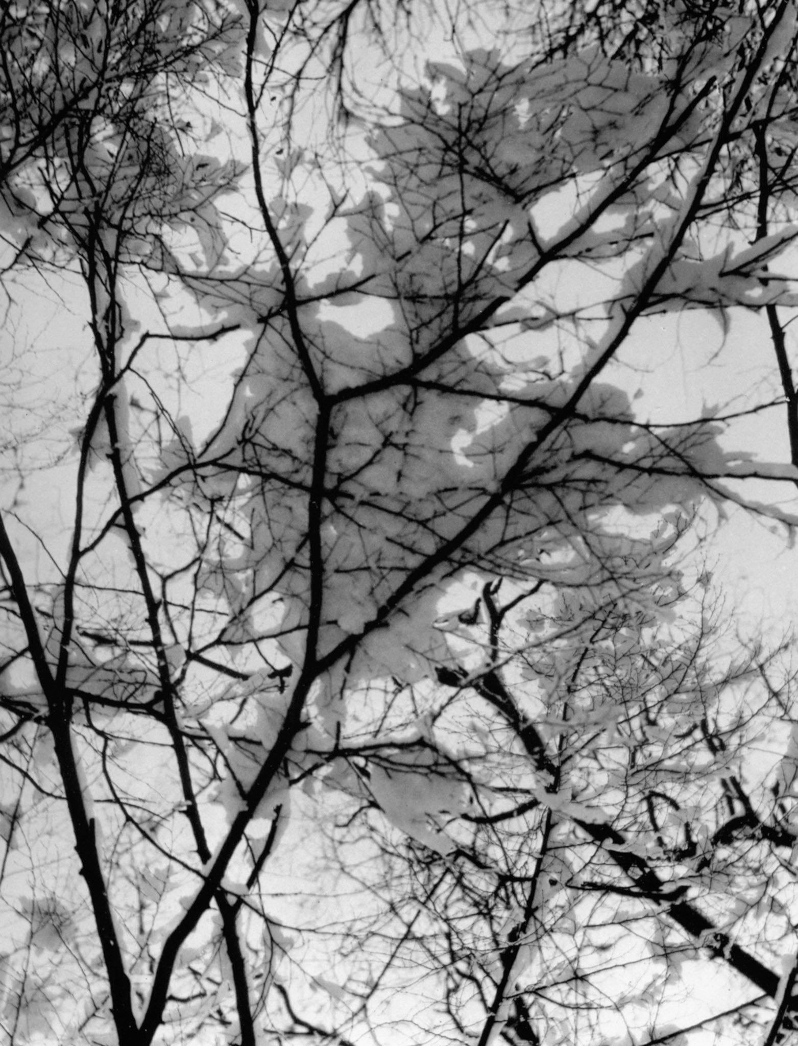 Photograph by Aenne Biermann