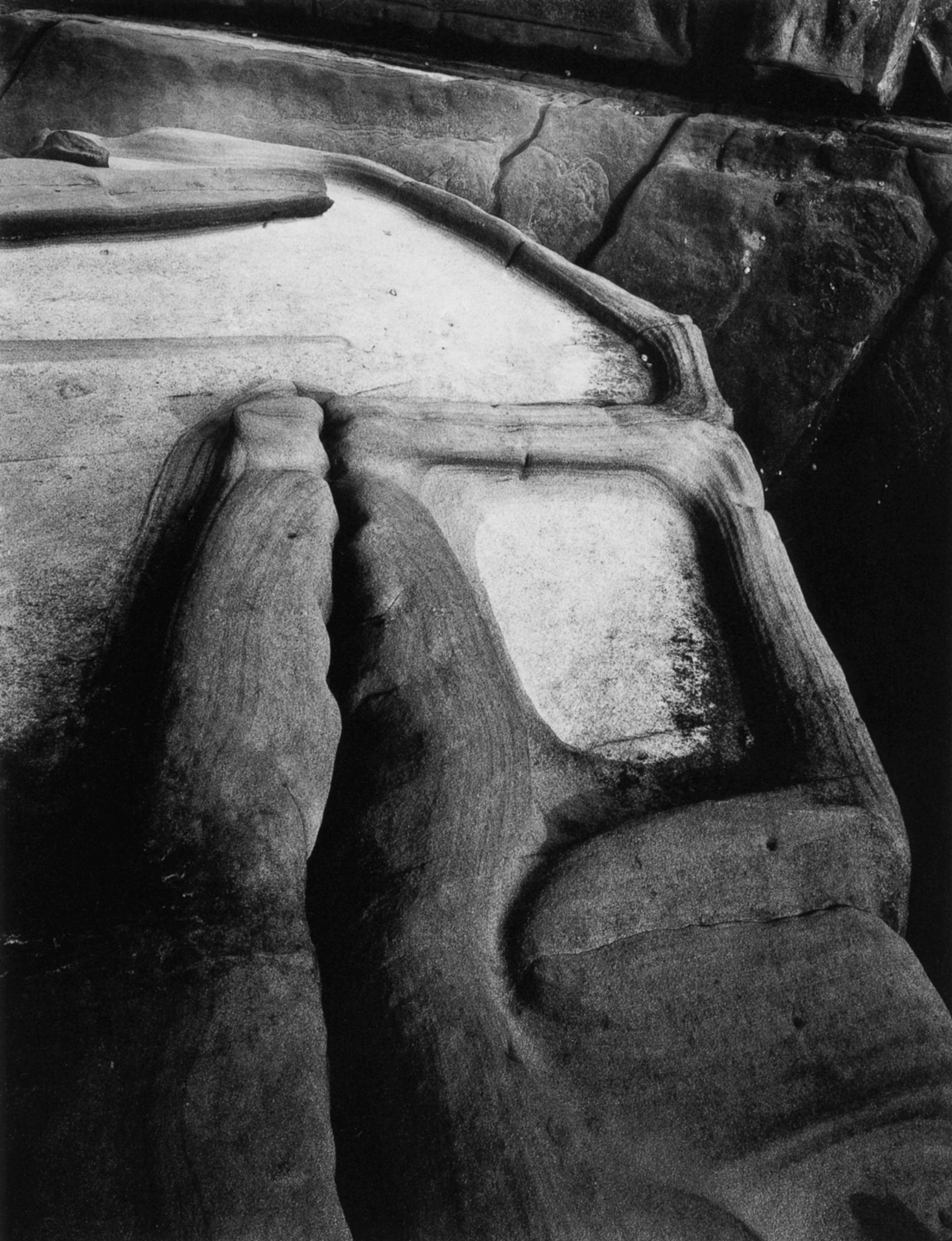 Photograph by Edward Weston