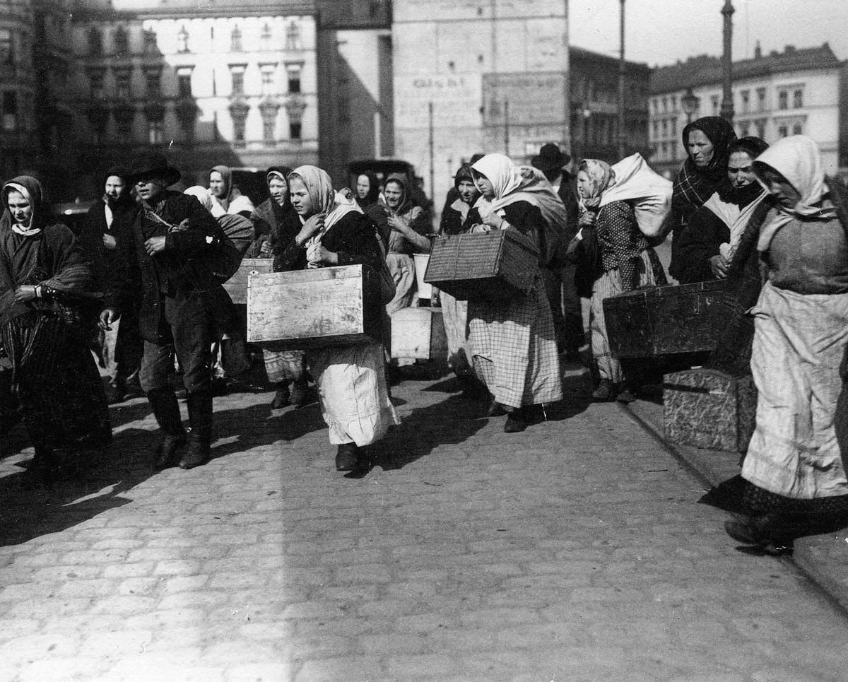 Photograph by Haeckel